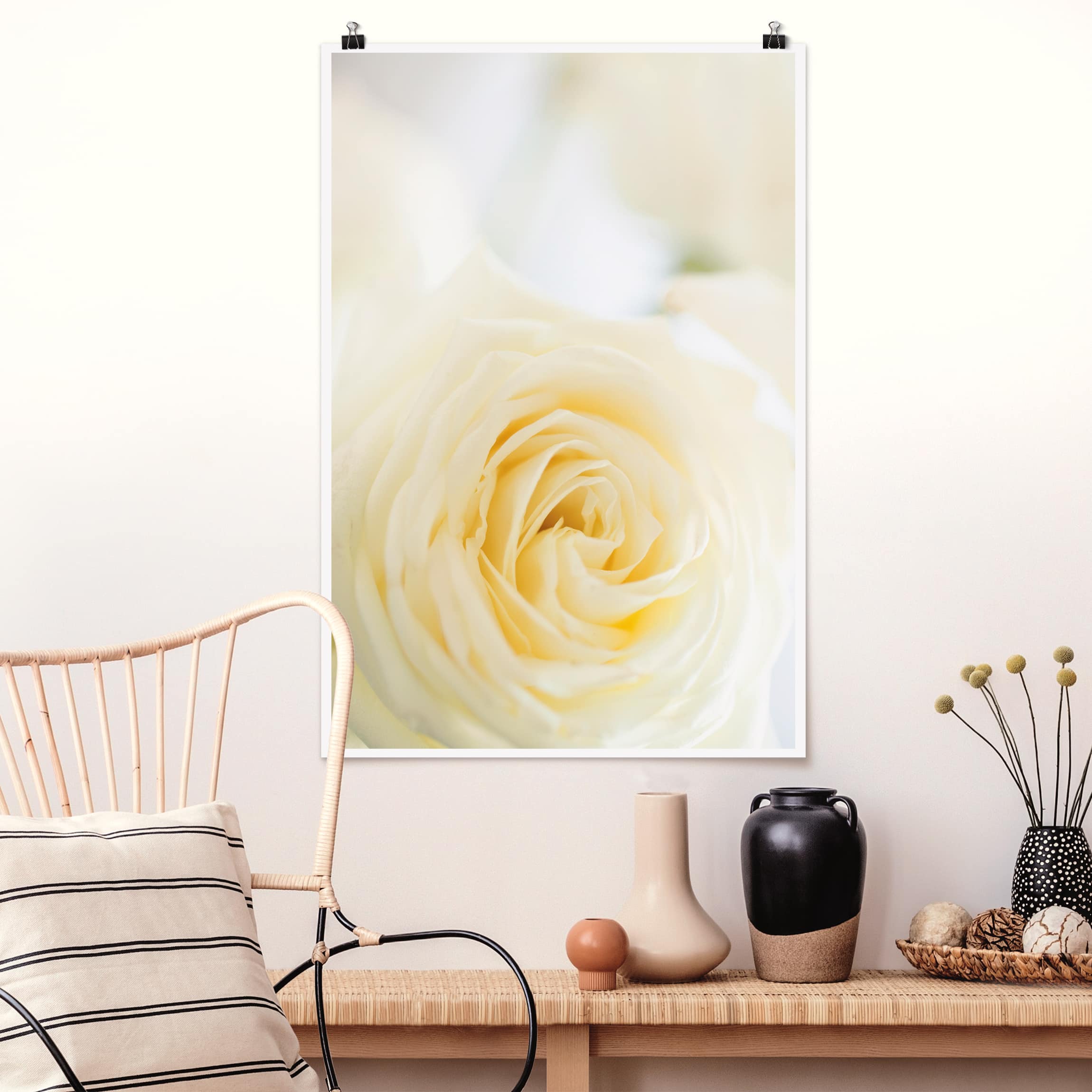 Poster - Hochformat White Rose