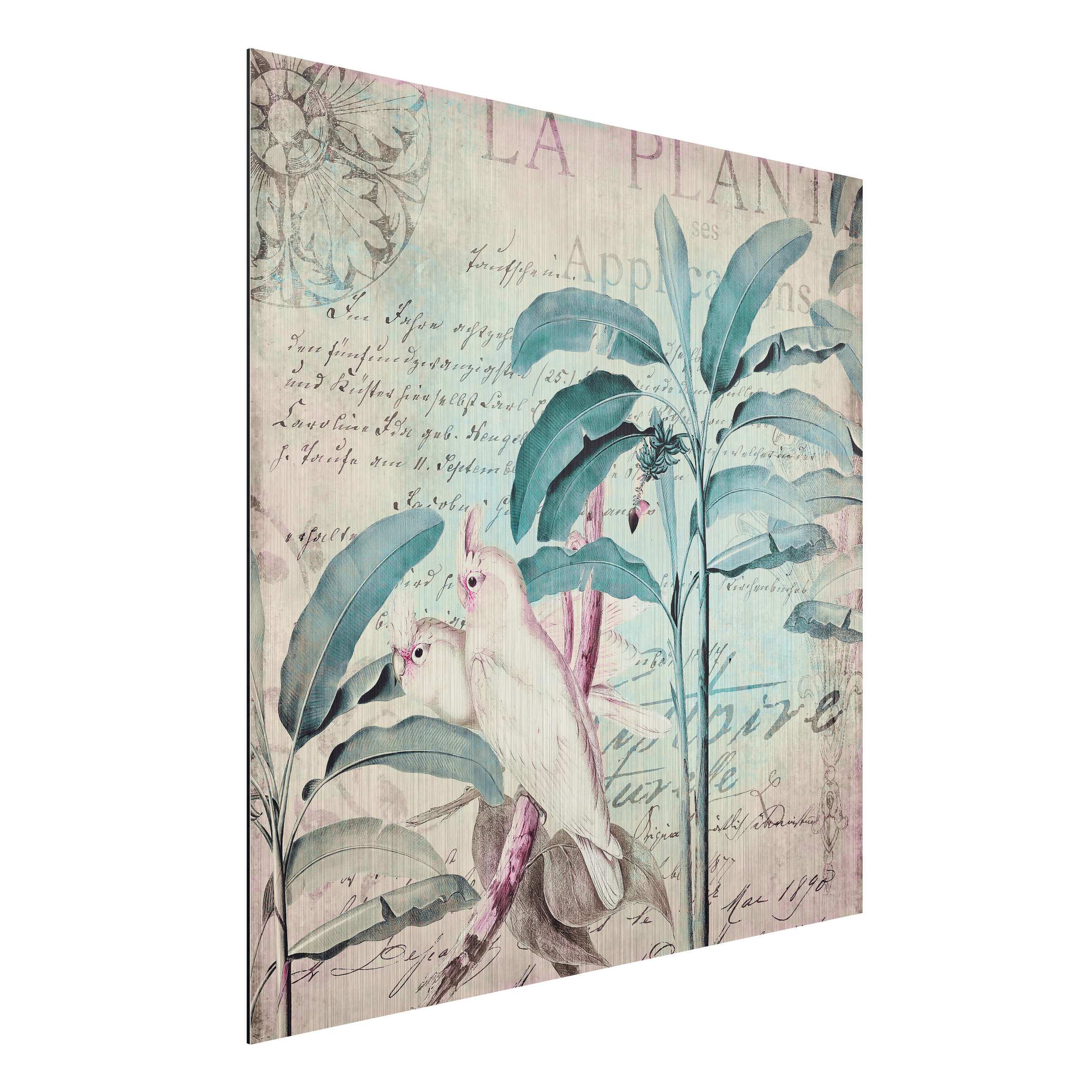 Alu-Dibond Bild Colonial Style Collage - Kakadus und Palmen