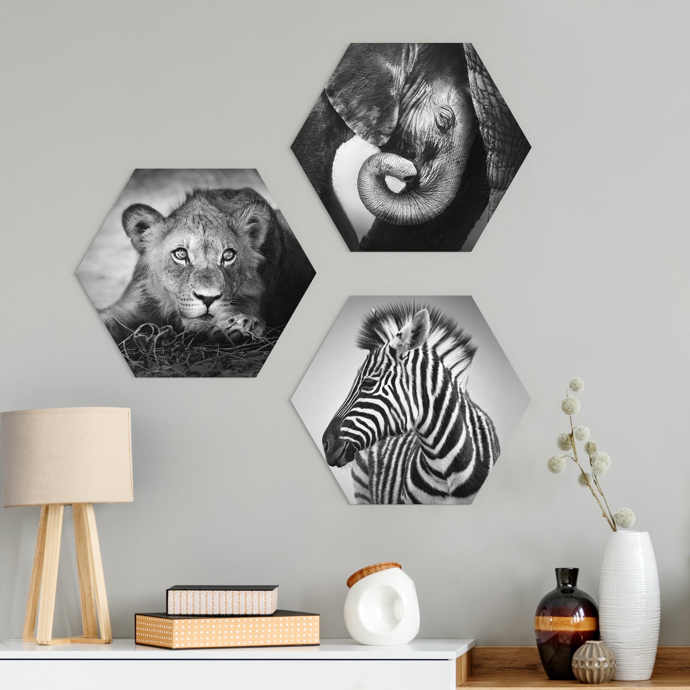 3-teiliges Hexagon-Alu-Dibond Bild Babytiere