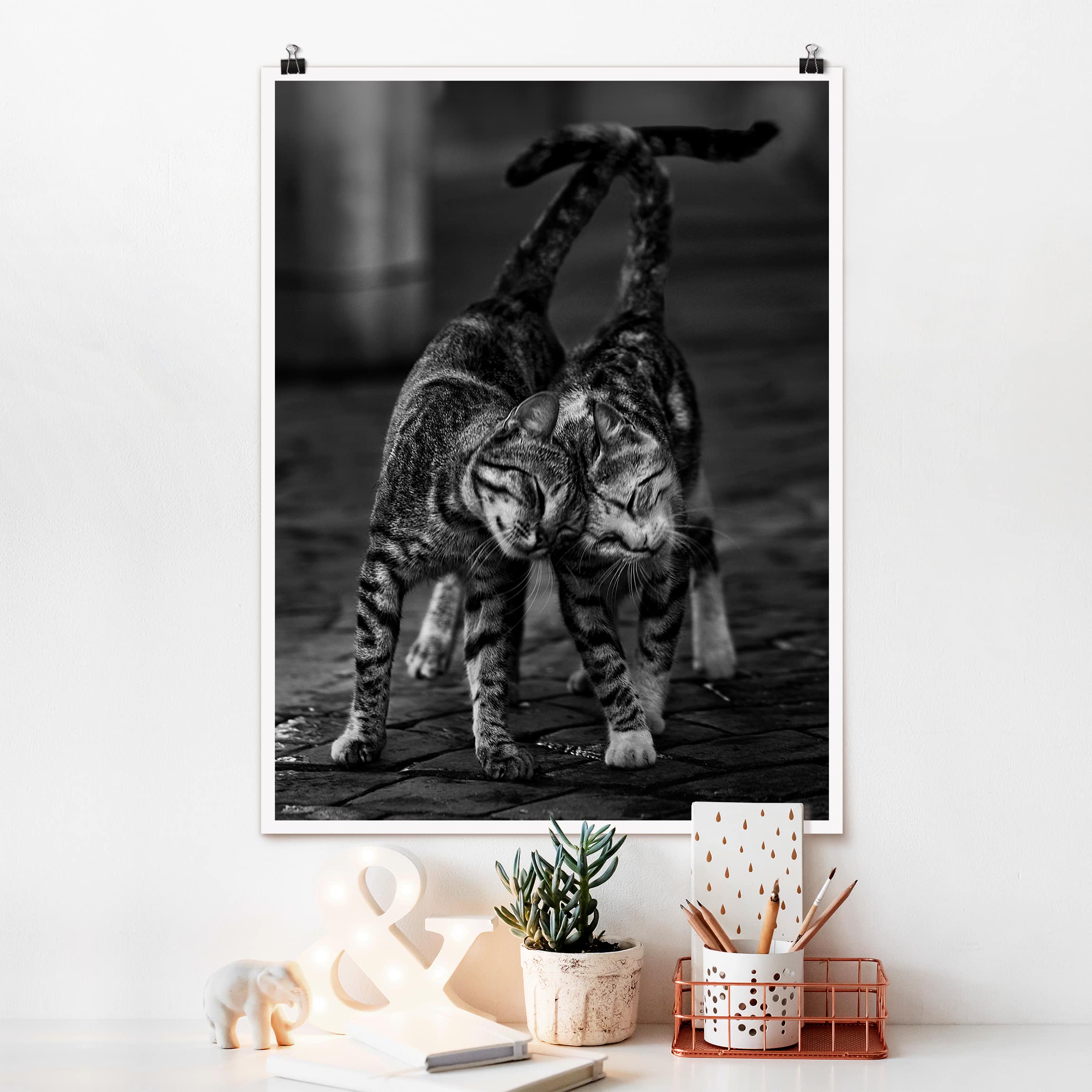 Poster Tiere Kätzchenfreundschaft