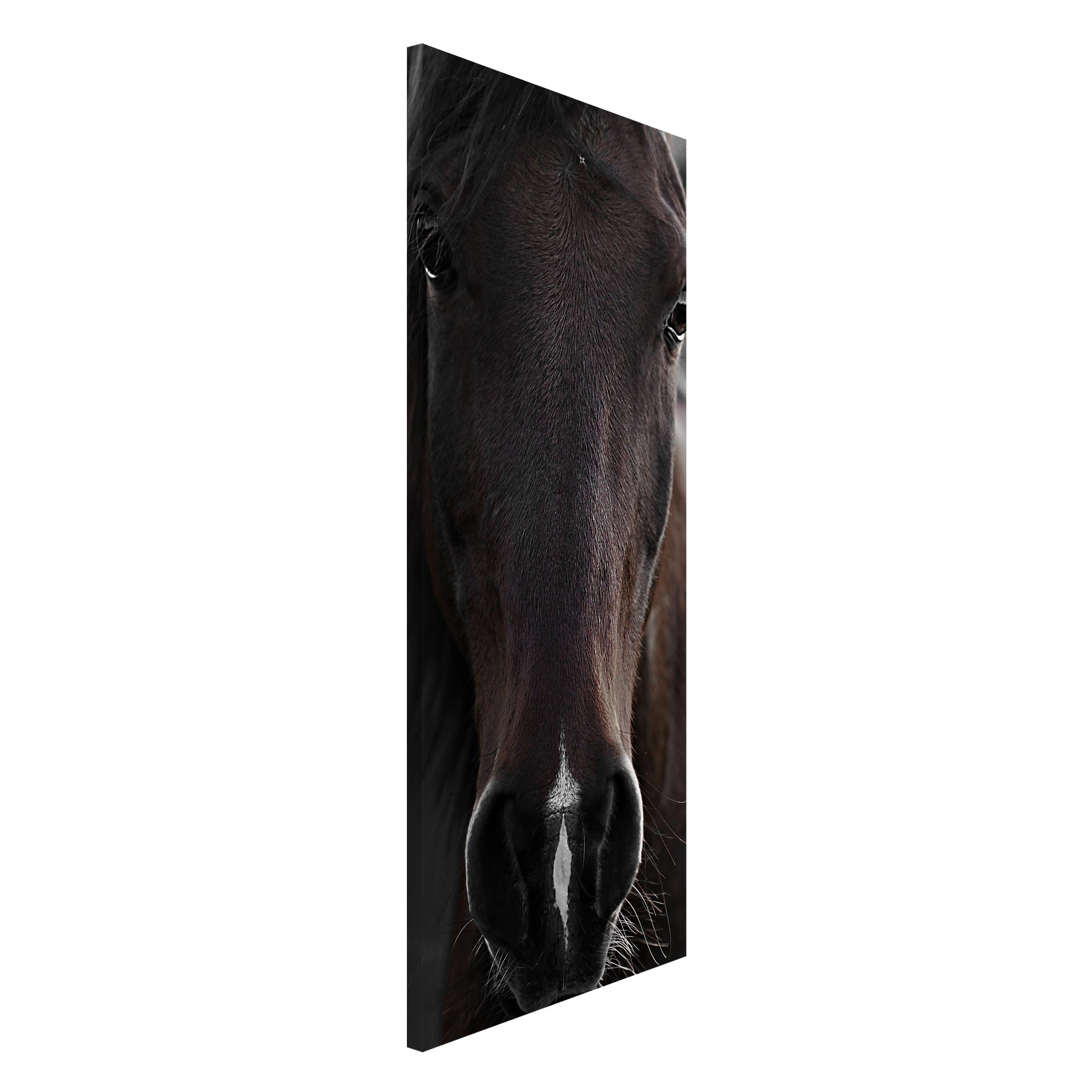 Magnettafel Dunkles Pferd