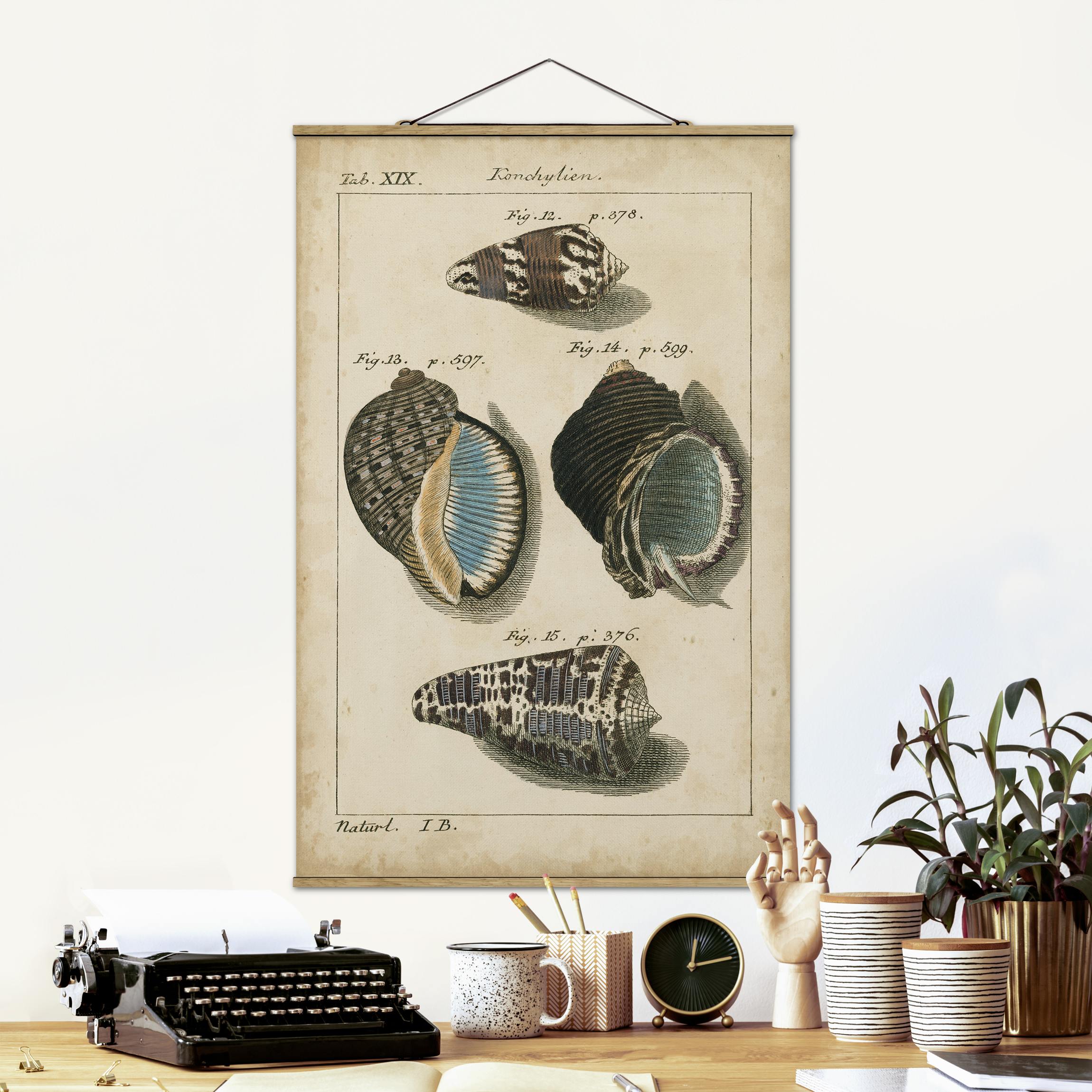 Stoffbild mit Posterleisten Vintage Muschel Zeichnung Braun
