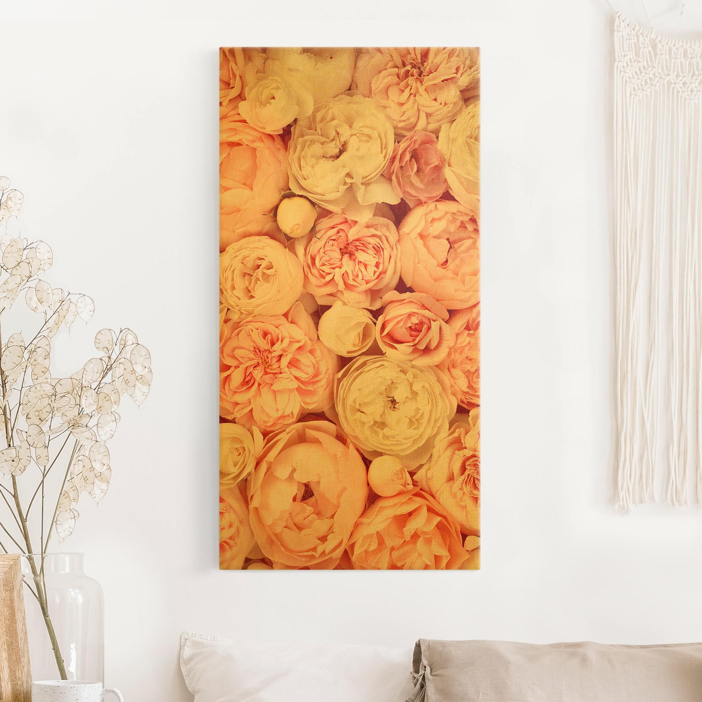 Leinwandbild Rosen Rosé Koralle Shabby