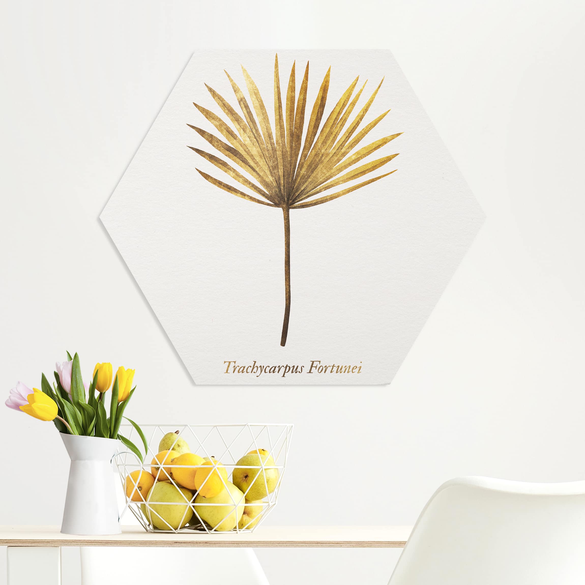 Hexagon-Forexbild Gold - Palmenblatt
