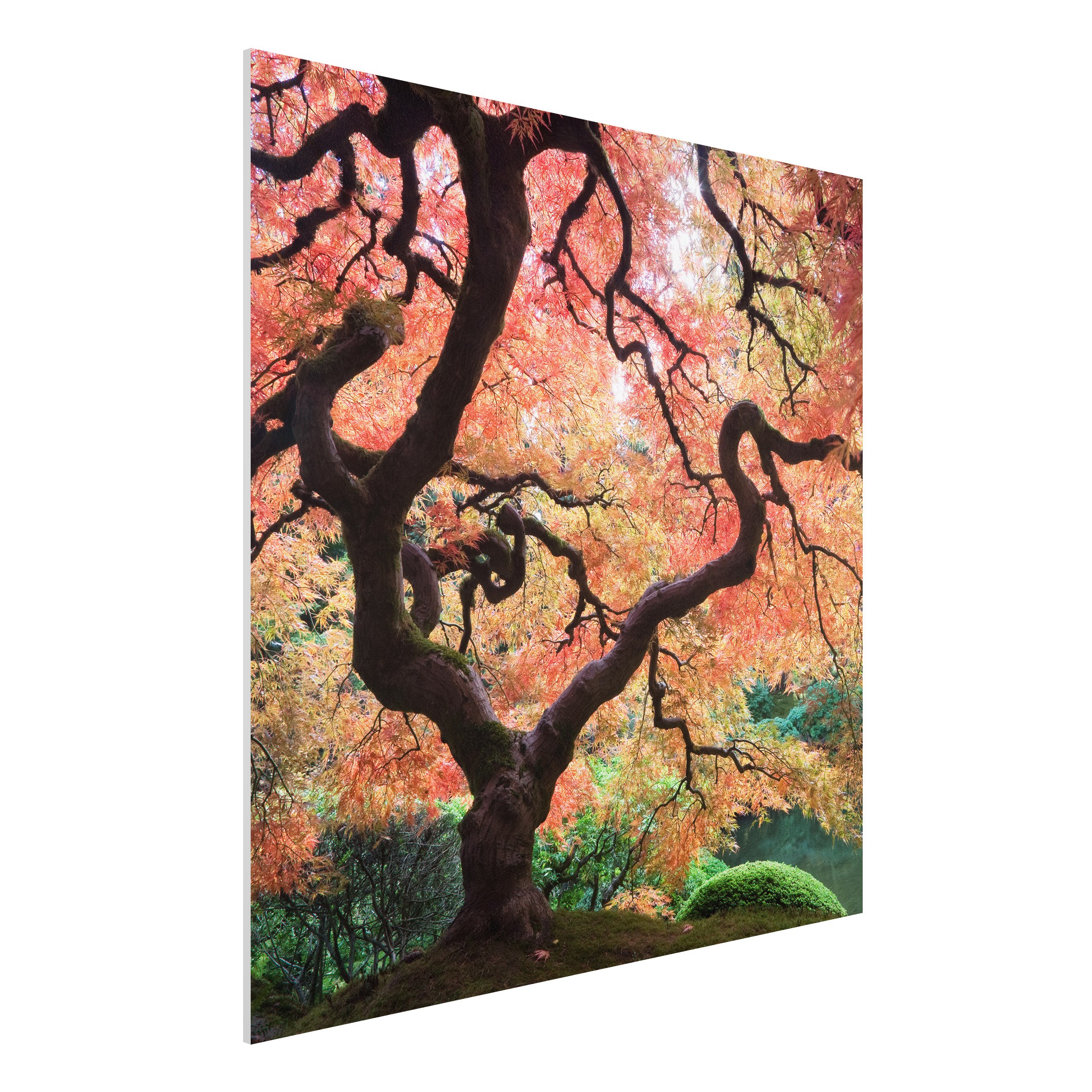 Forexbild - Quadrat Japanischer Garten