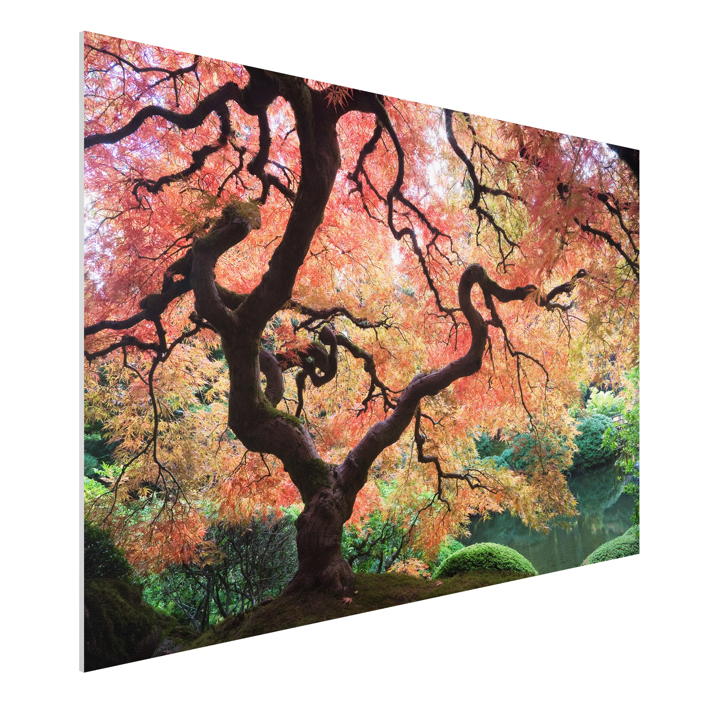 Forexbild - Querformat 3:2 Japanischer Garten