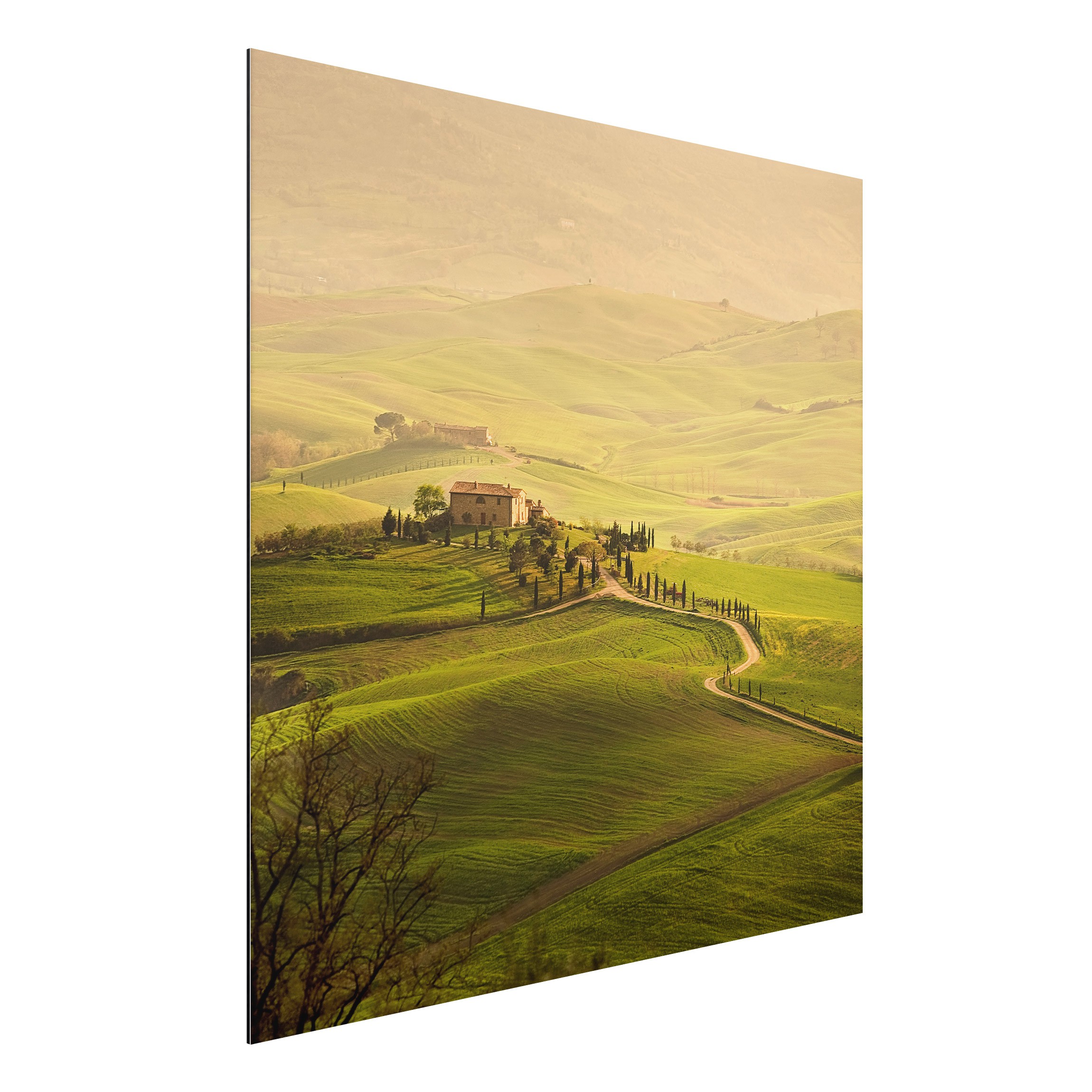 Alu-Dibond Outdoor Bild Chianti Toskana