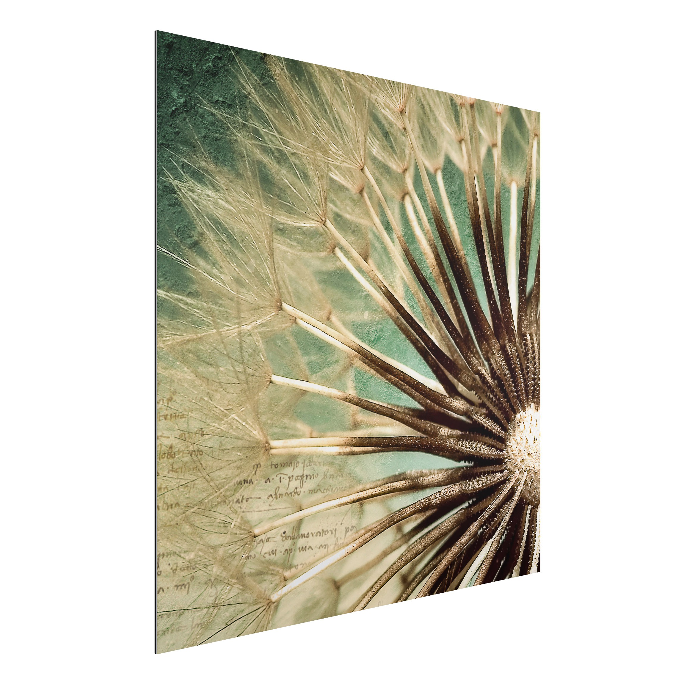 Alu-Dibond Outdoor Bild Closer Than Before Panorama