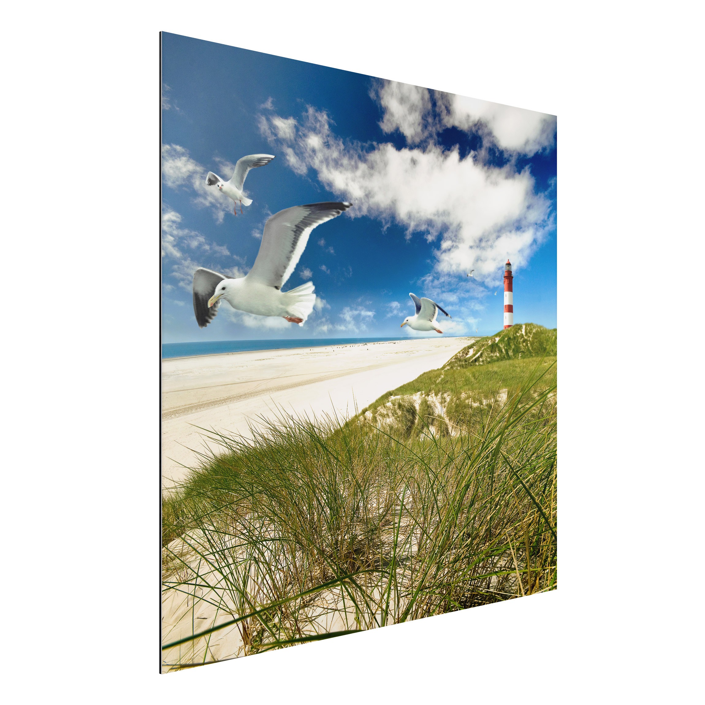 Alu-Dibond Outdoor Bild Dune Breeze