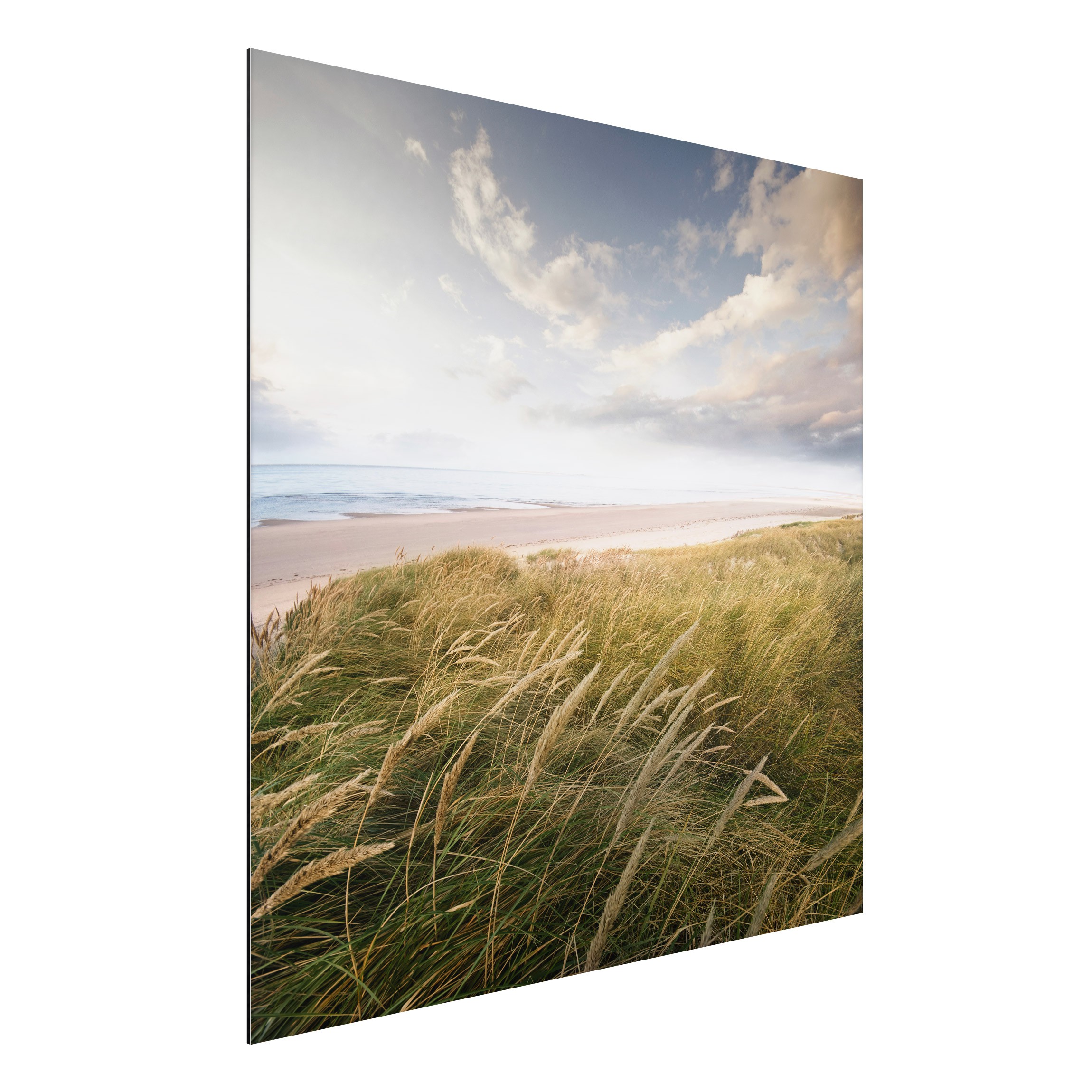 Alu-Dibond Outdoor Bild Dünentraum