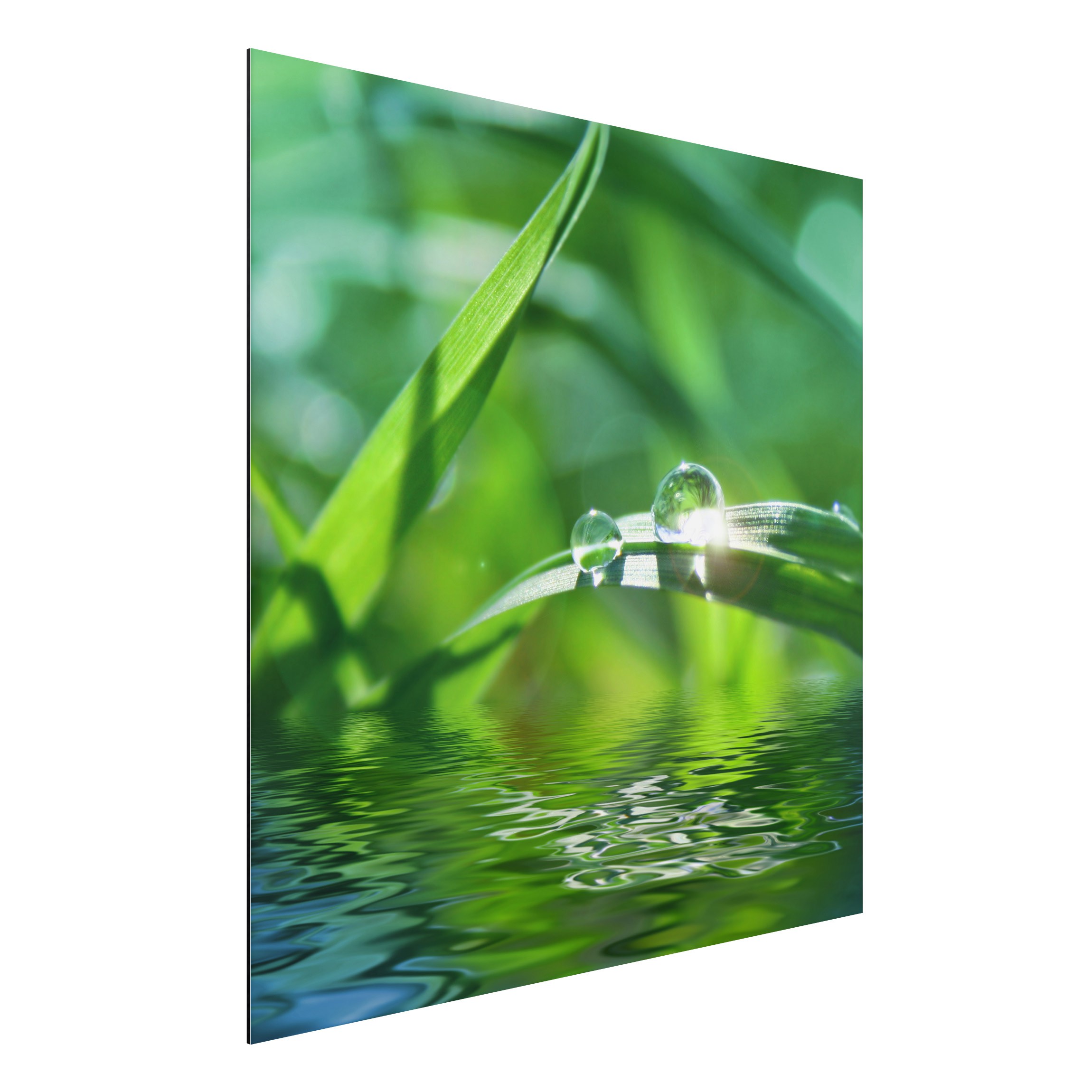 Alu-Dibond Outdoor Bild Green Ambiance II