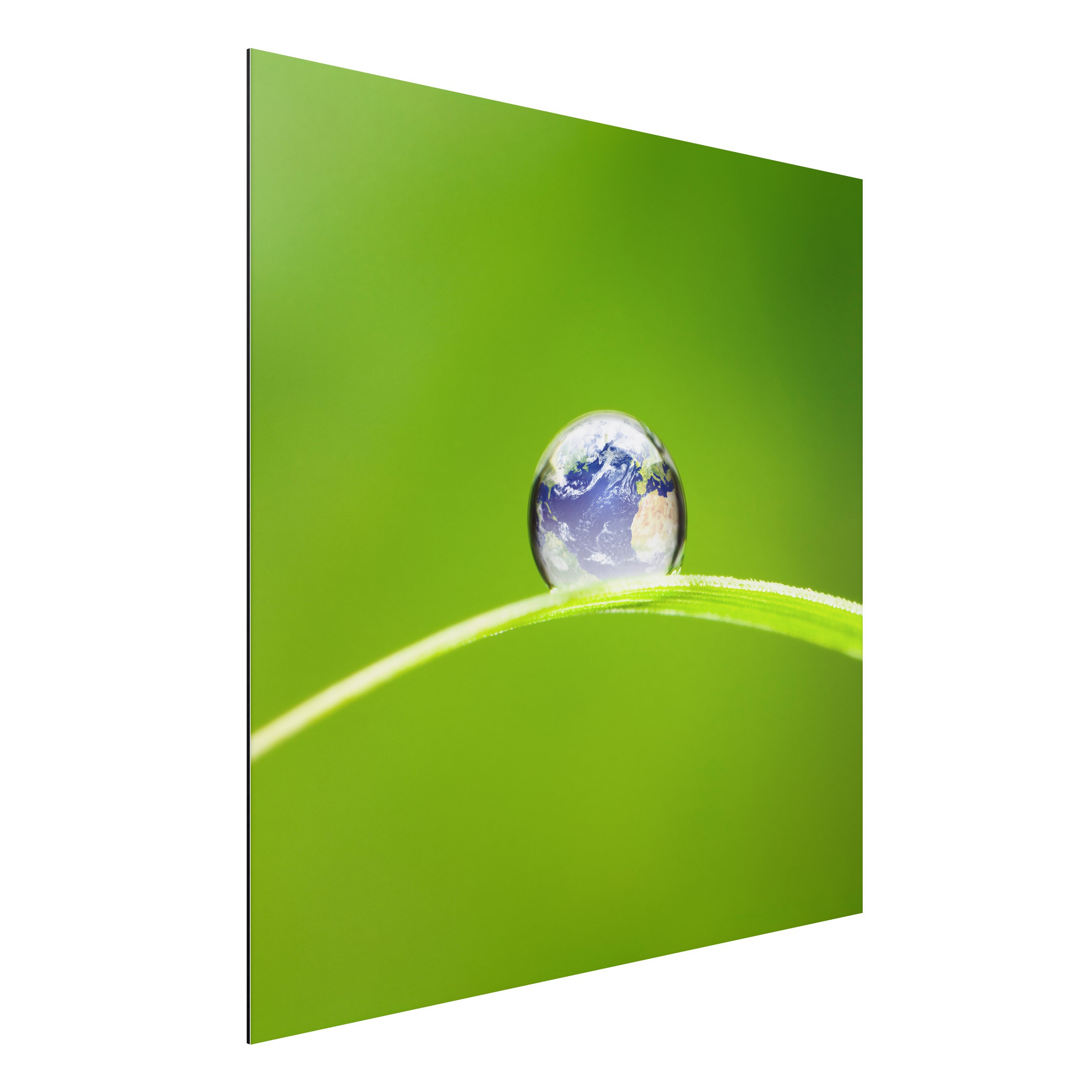 Alu-Dibond Outdoor Bild Grüne Hoffnung