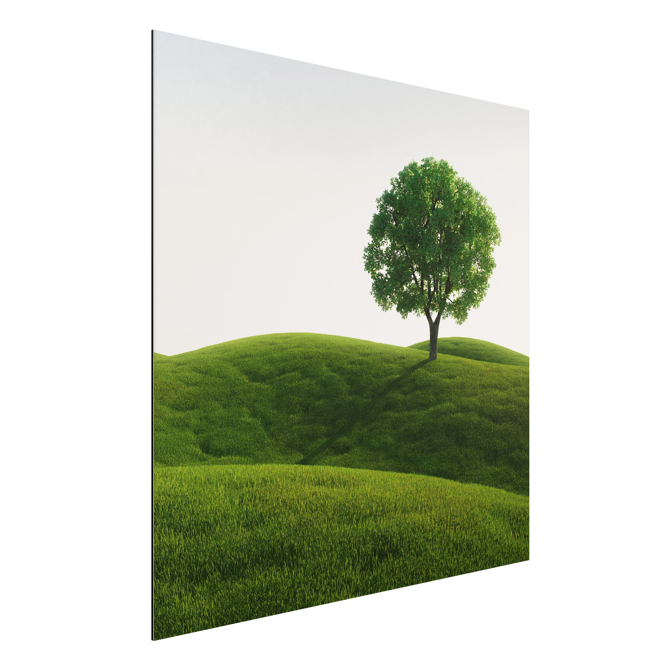 Alu-Dibond Outdoor Bild Grüne Ruhe