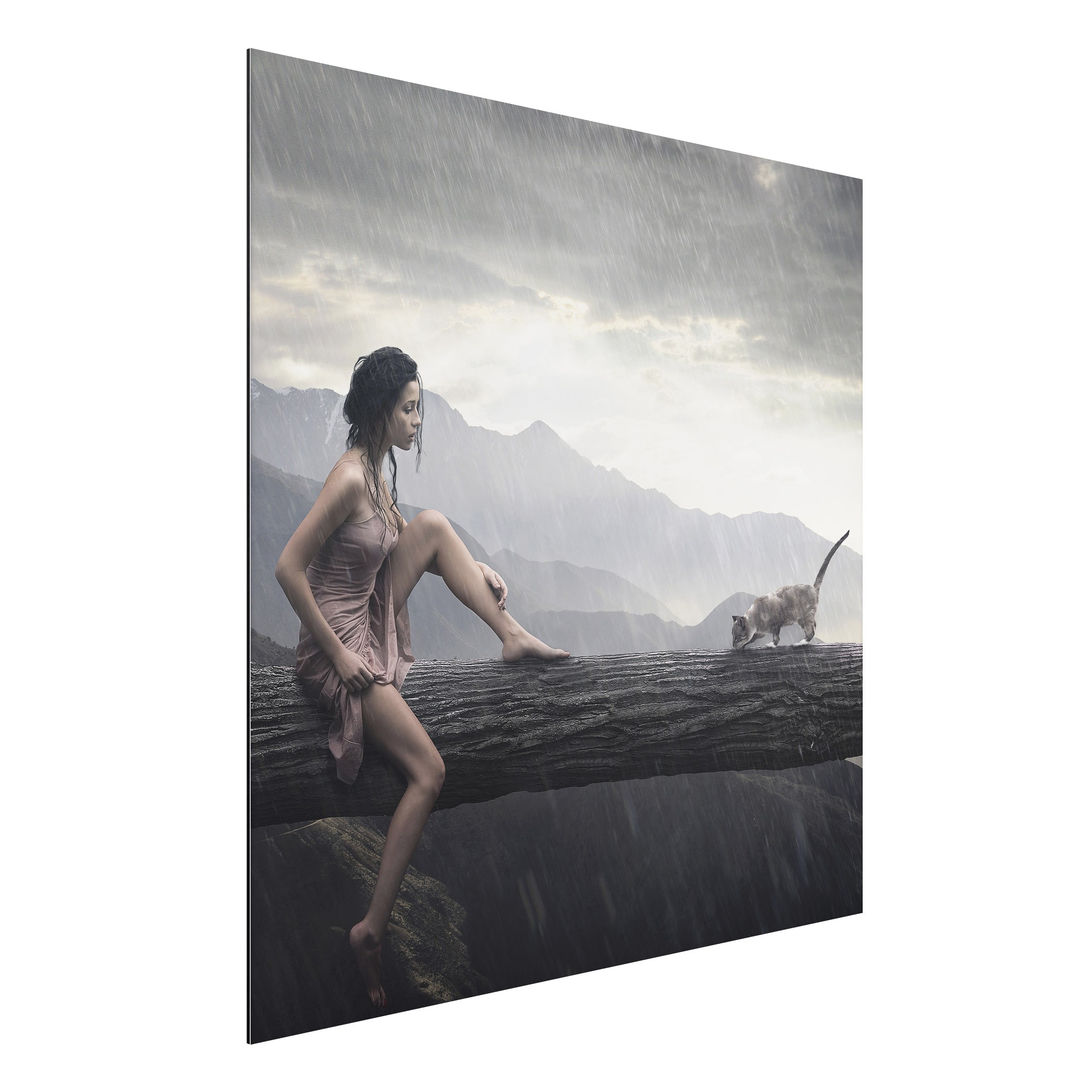 Alu-Dibond Outdoor Bild Jane in the Rain