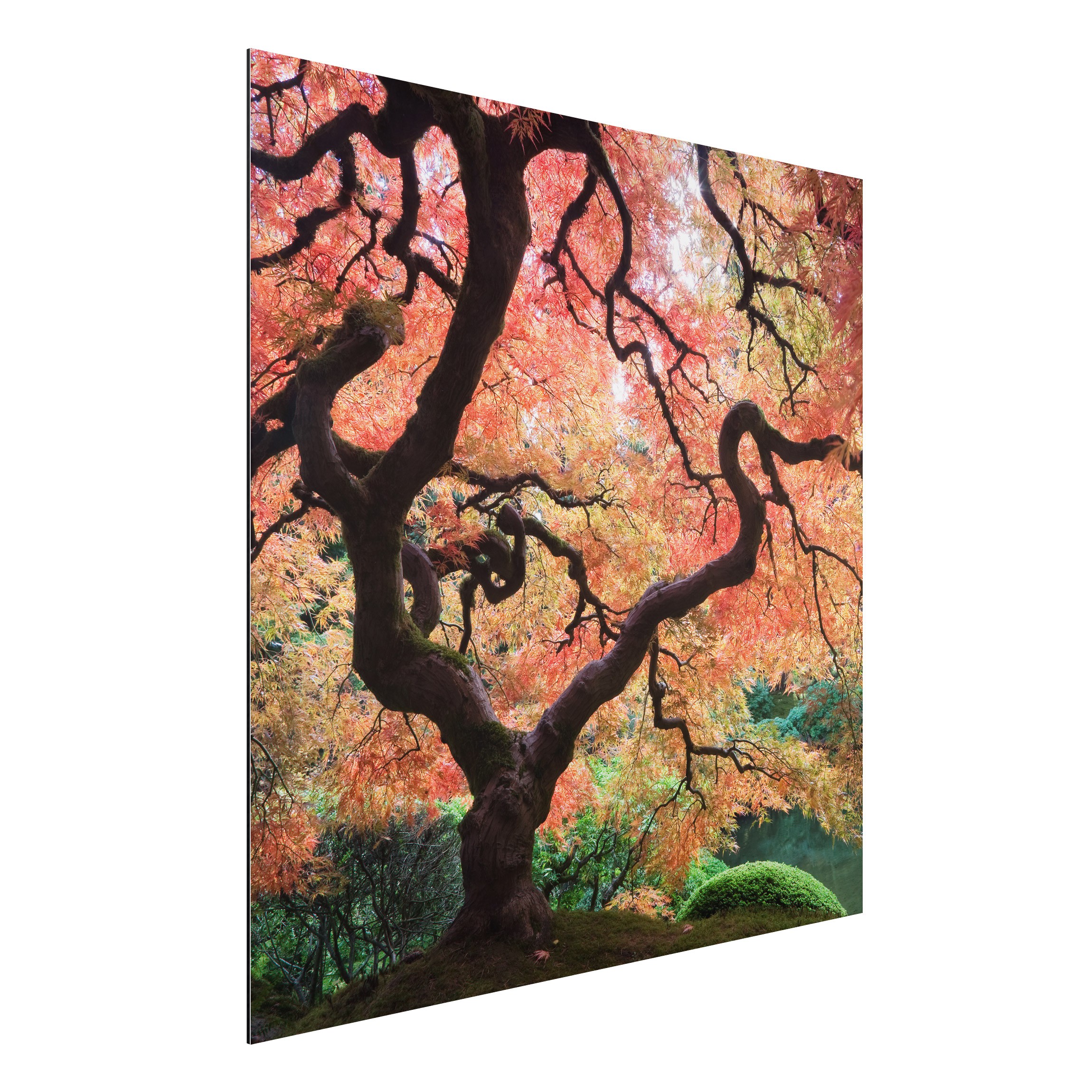 Alu-Dibond Outdoor Bild Japanischer Garten