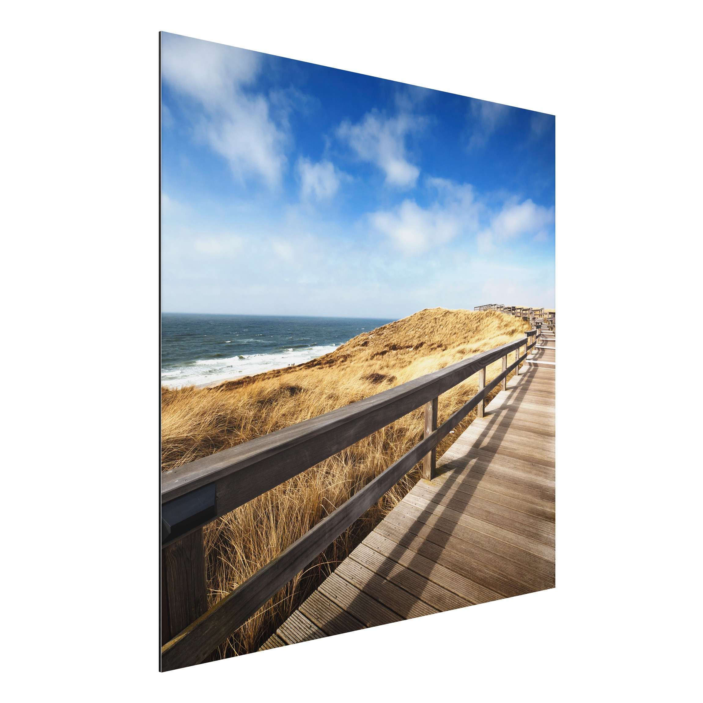 Alu-Dibond Outdoor Bild Nordseespaziergang