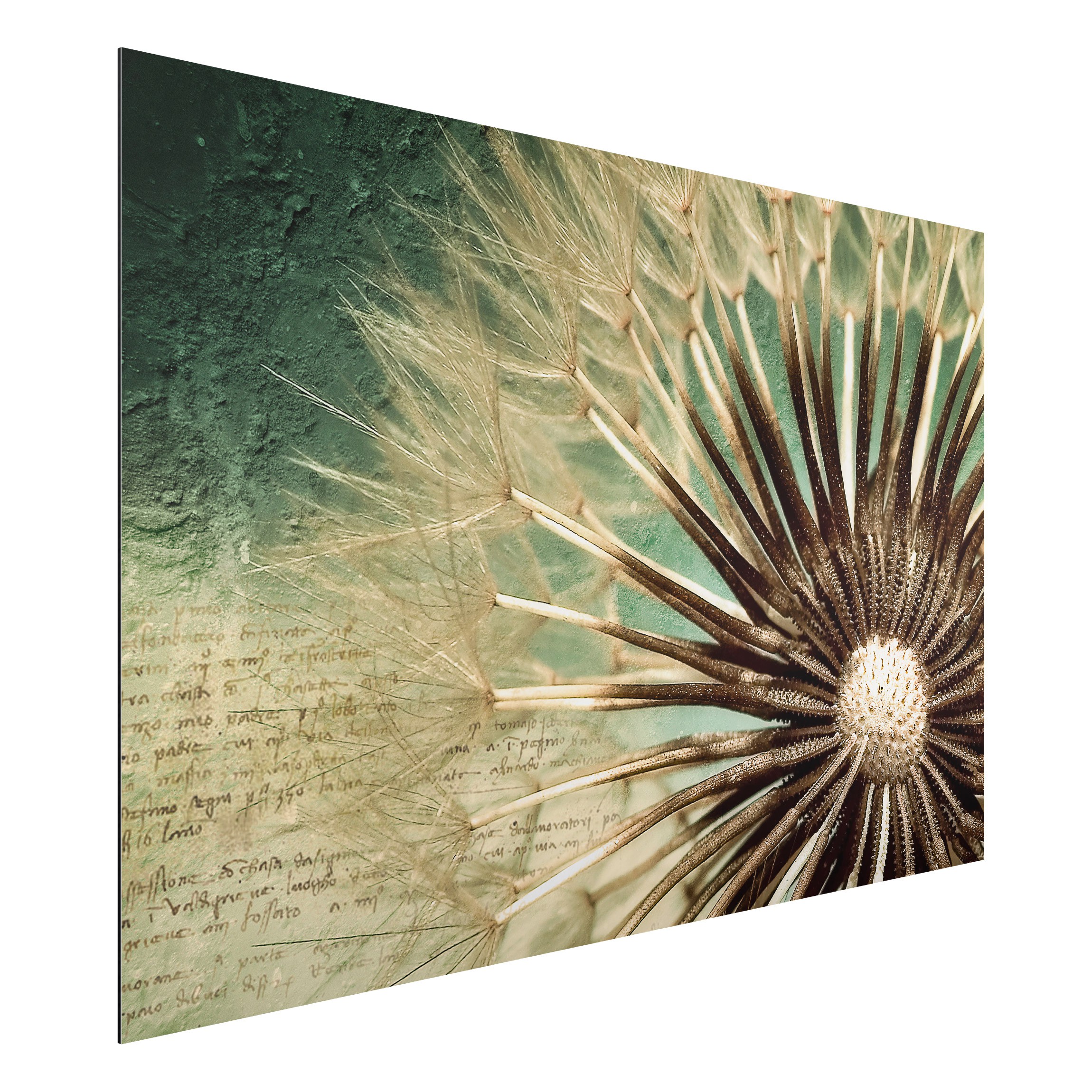 Alu-Dibond Outdoor Bild Closer than before