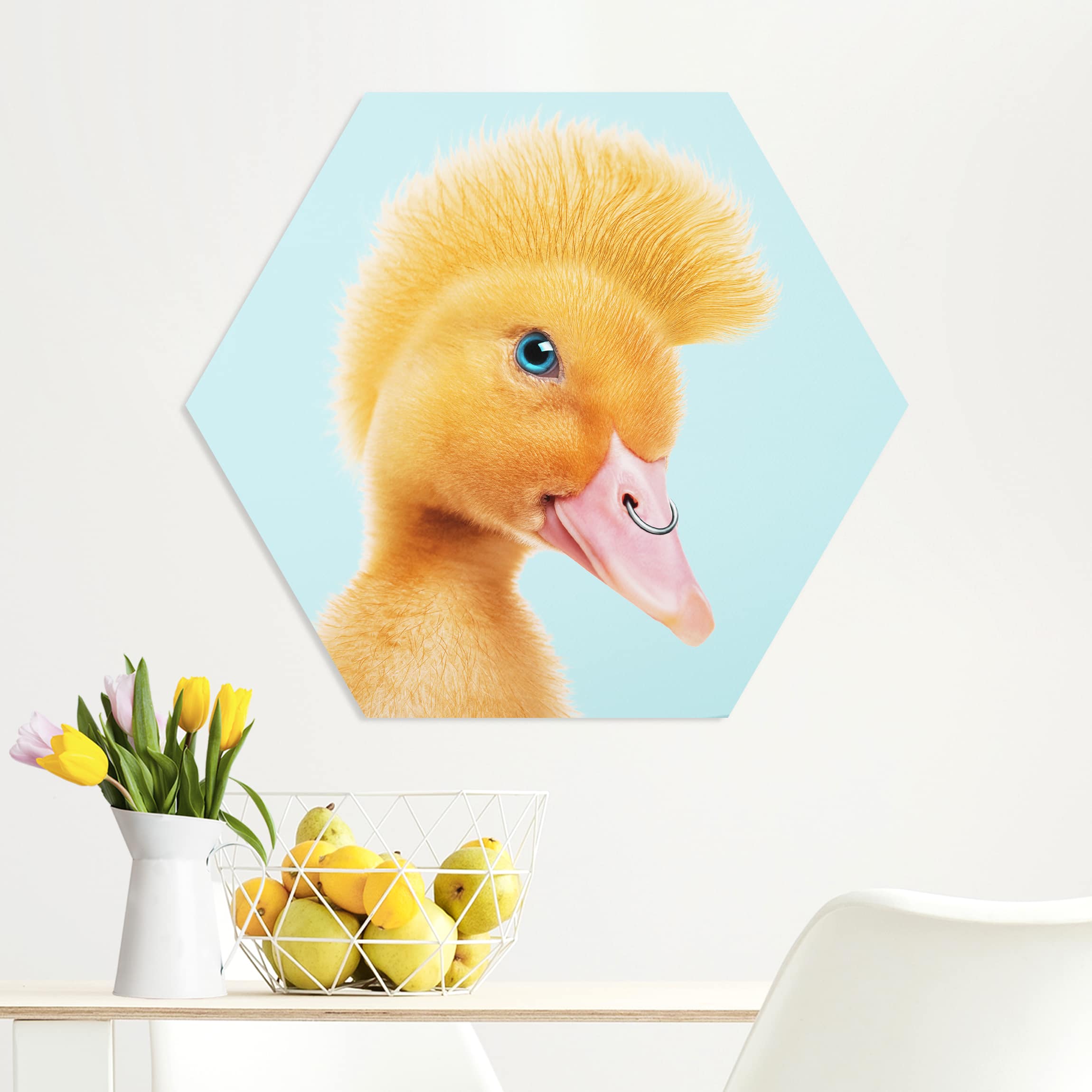 Hexagon-Forexbild Küken mit Piercing