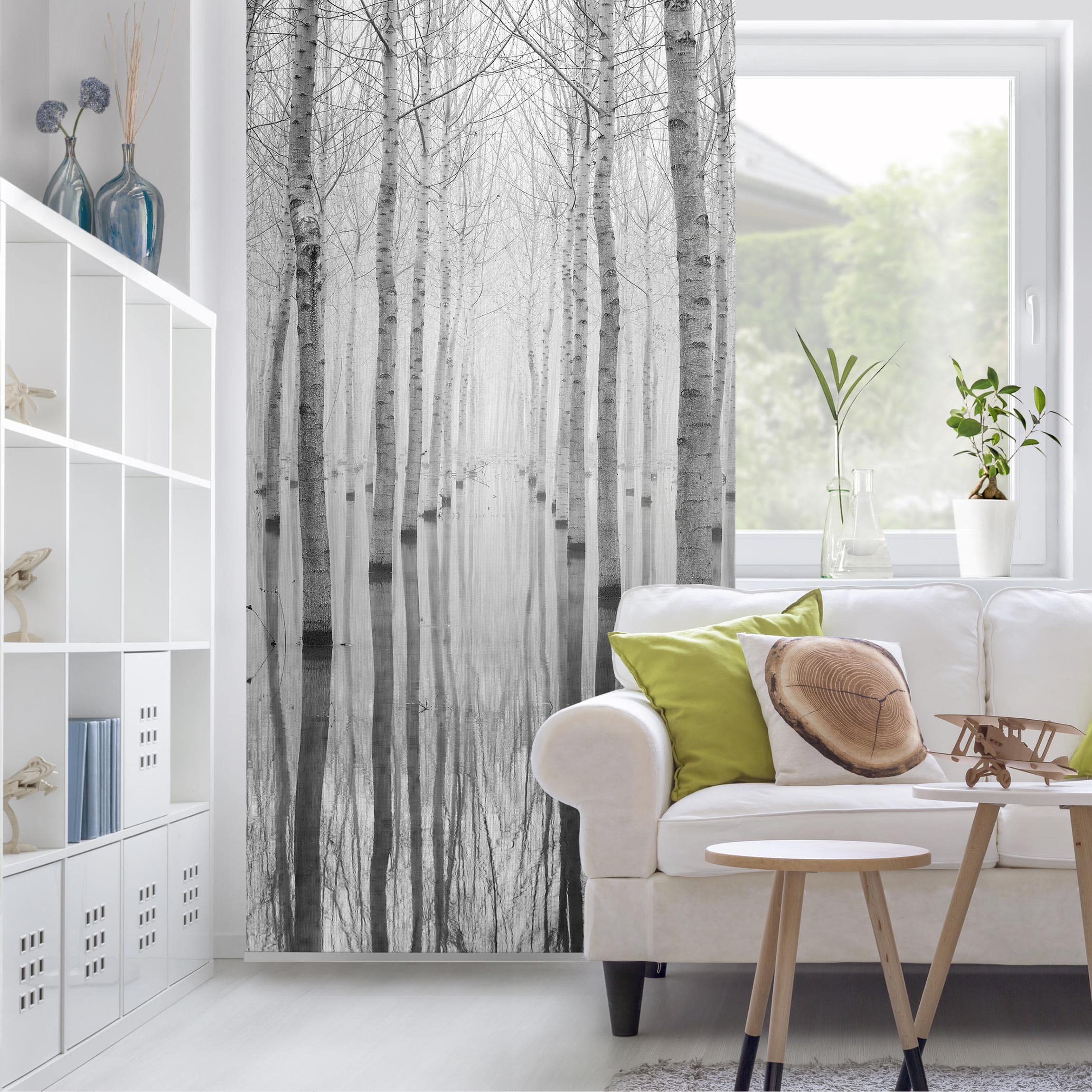 Raumteiler Birken Im November