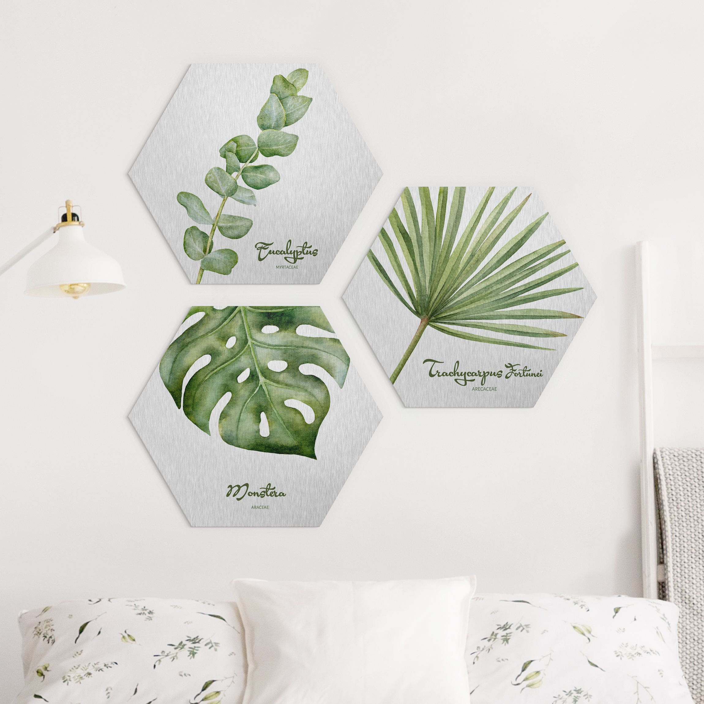 3-teiliges Hexagon-Alu-Dibond Bild Aquarell Botanik