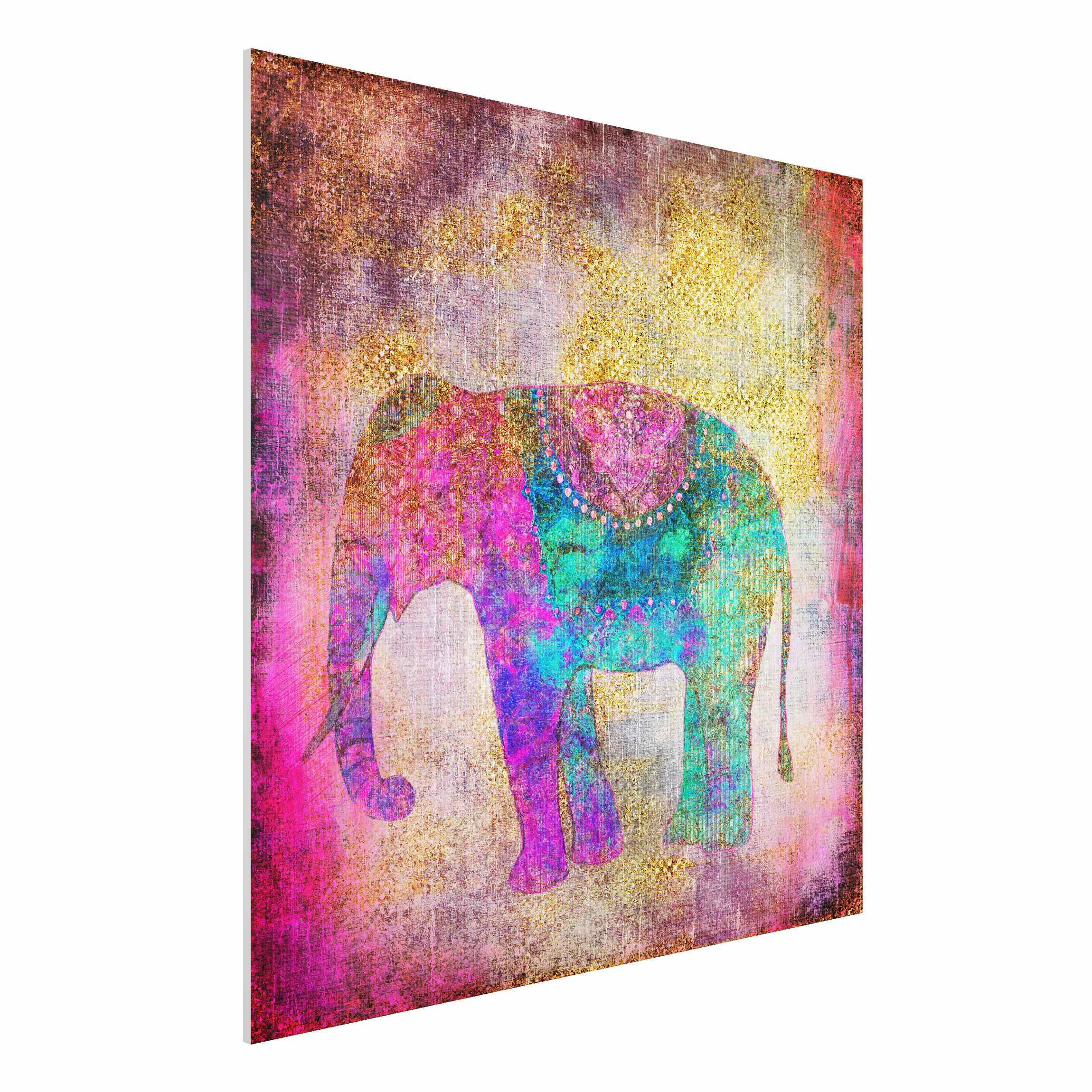 Forexbild Bunte Collage - Indischer Elefant