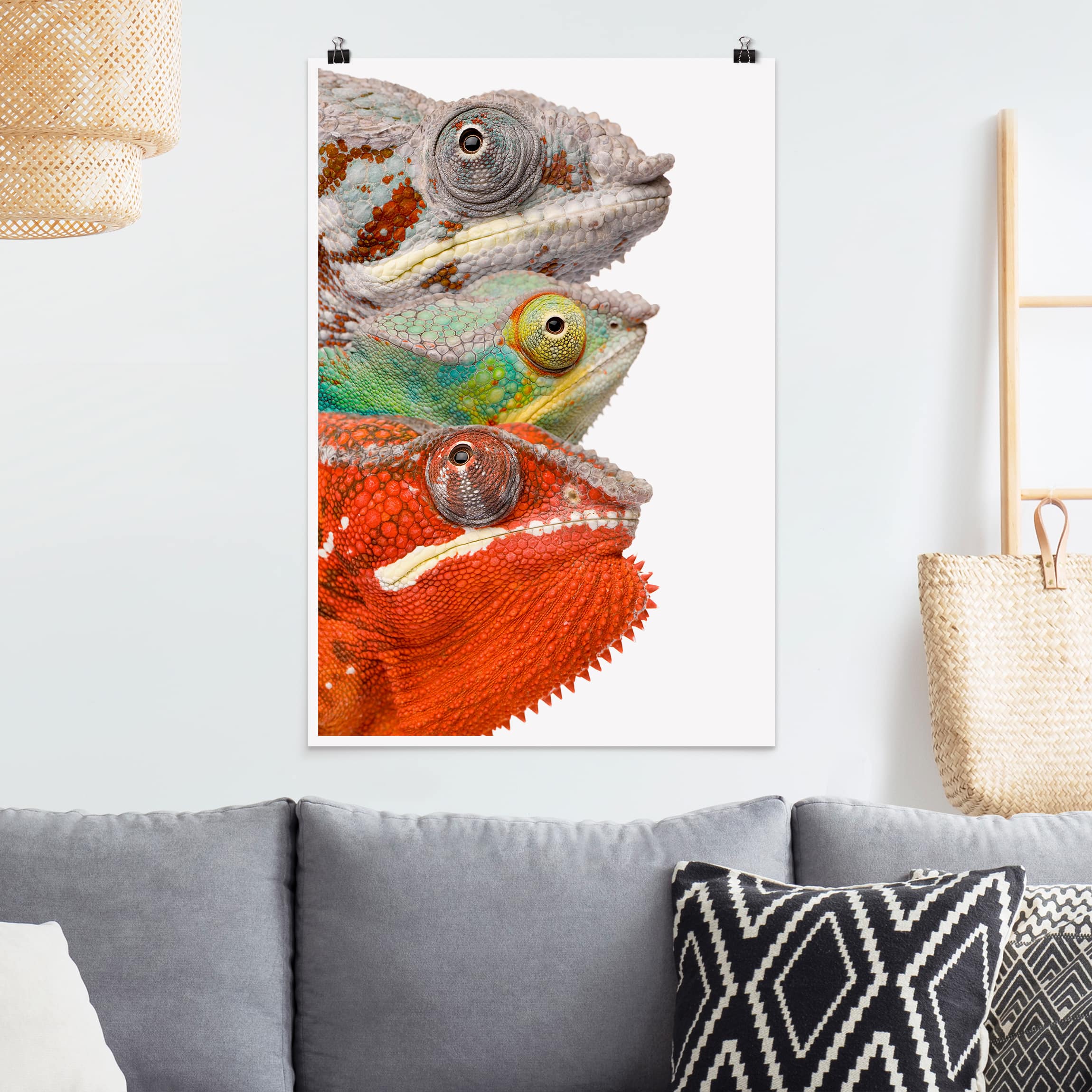 Poster - Hochformat Bunte Chamäleon