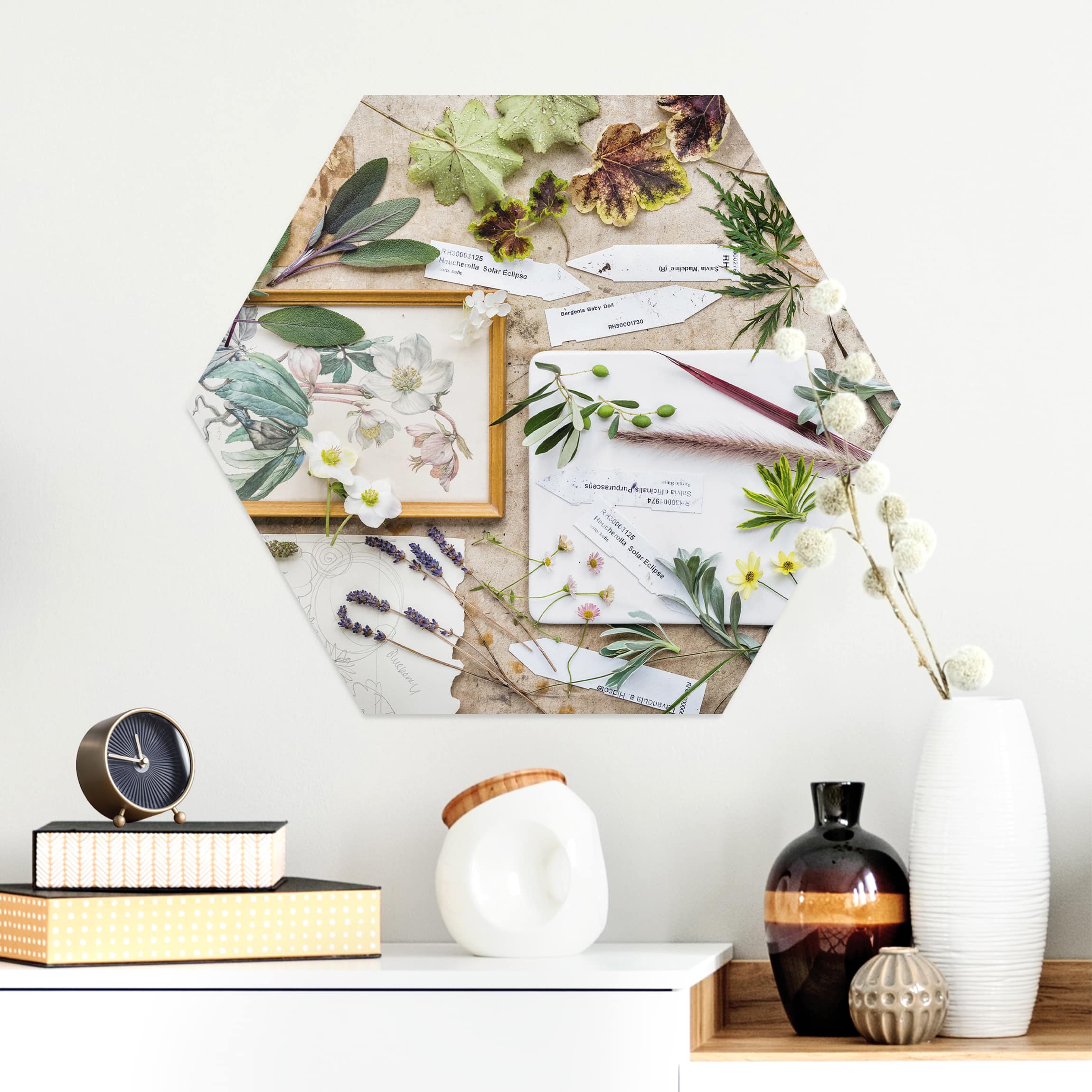 Hexagon-Alu-Dibond Bild Blumen und Gartenkräuter Vintage