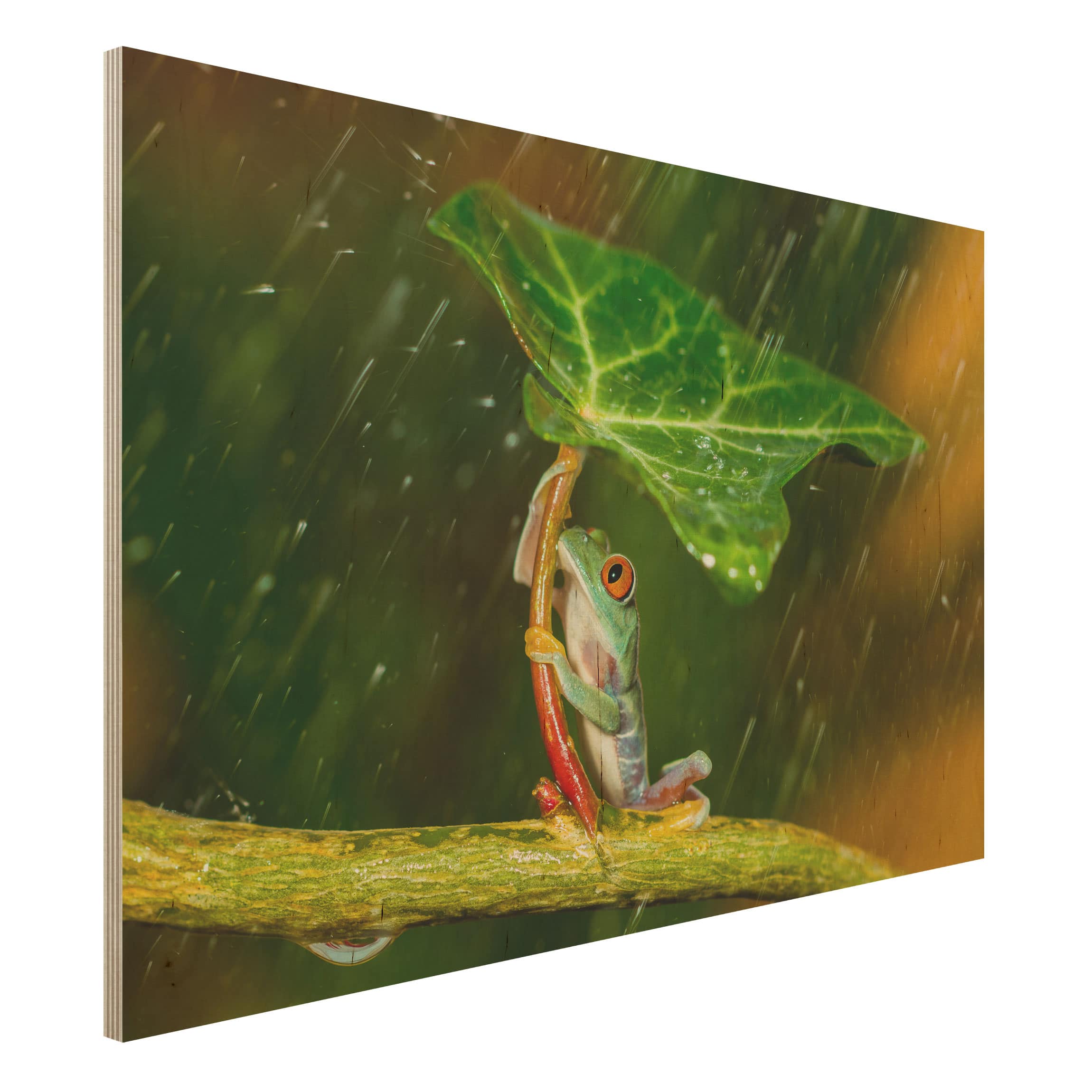 Holzbild Tiere Ein Frosch im Regen