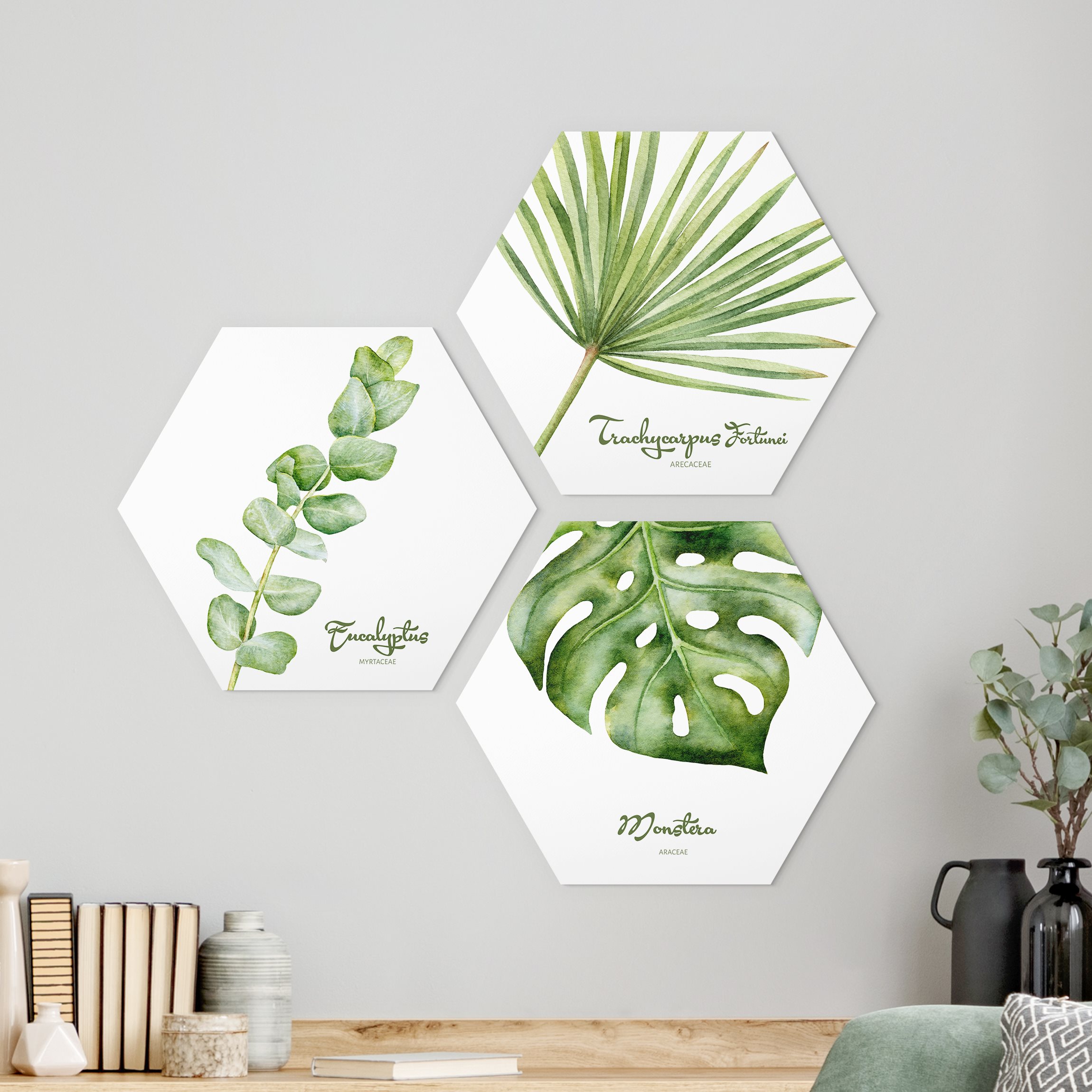 3-teiliges Hexagon-Alu-Dibond Bild Aquarell Botanik