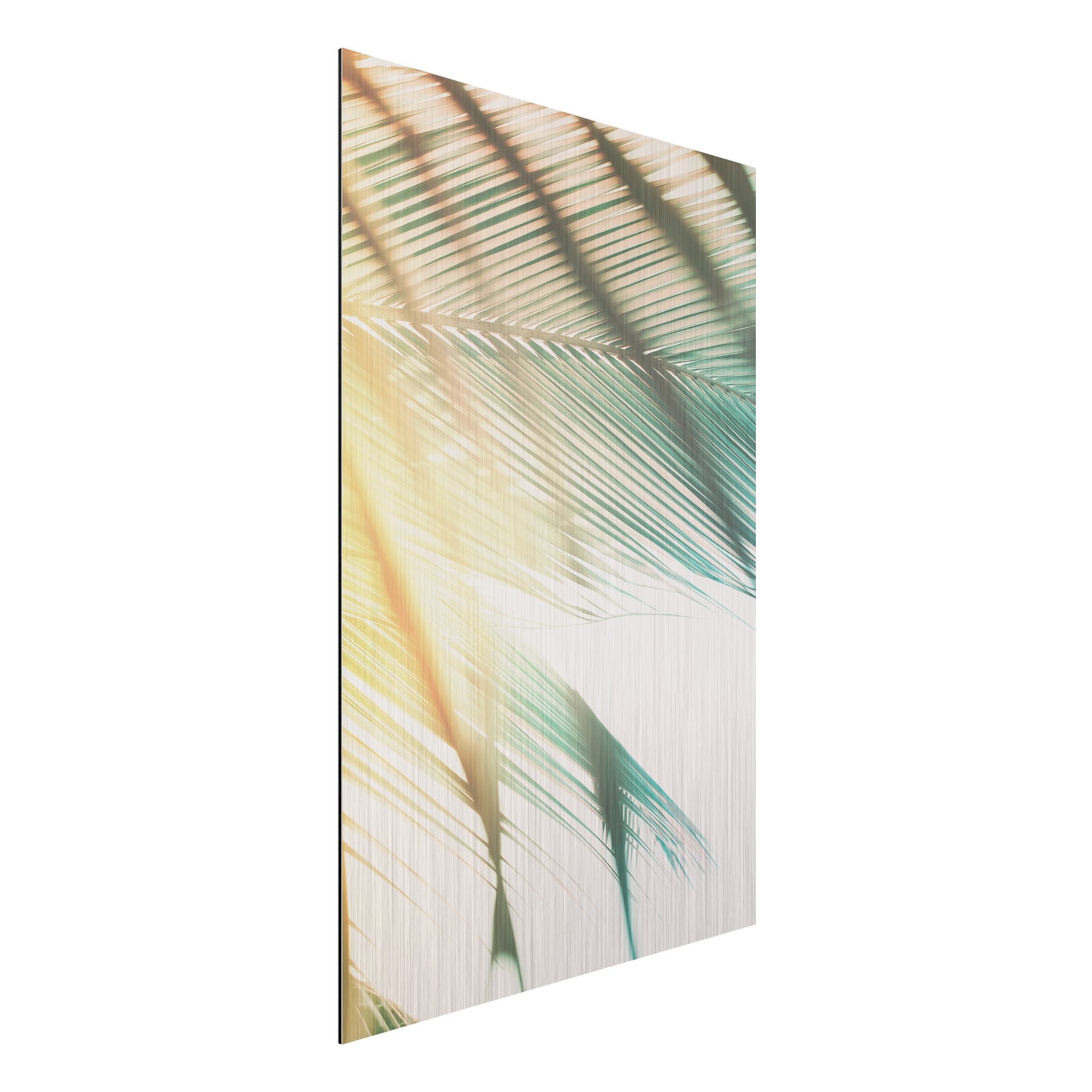 Alu-Dibond Bild Tropische Pflanzen Palmen bei Sonnenuntergang II