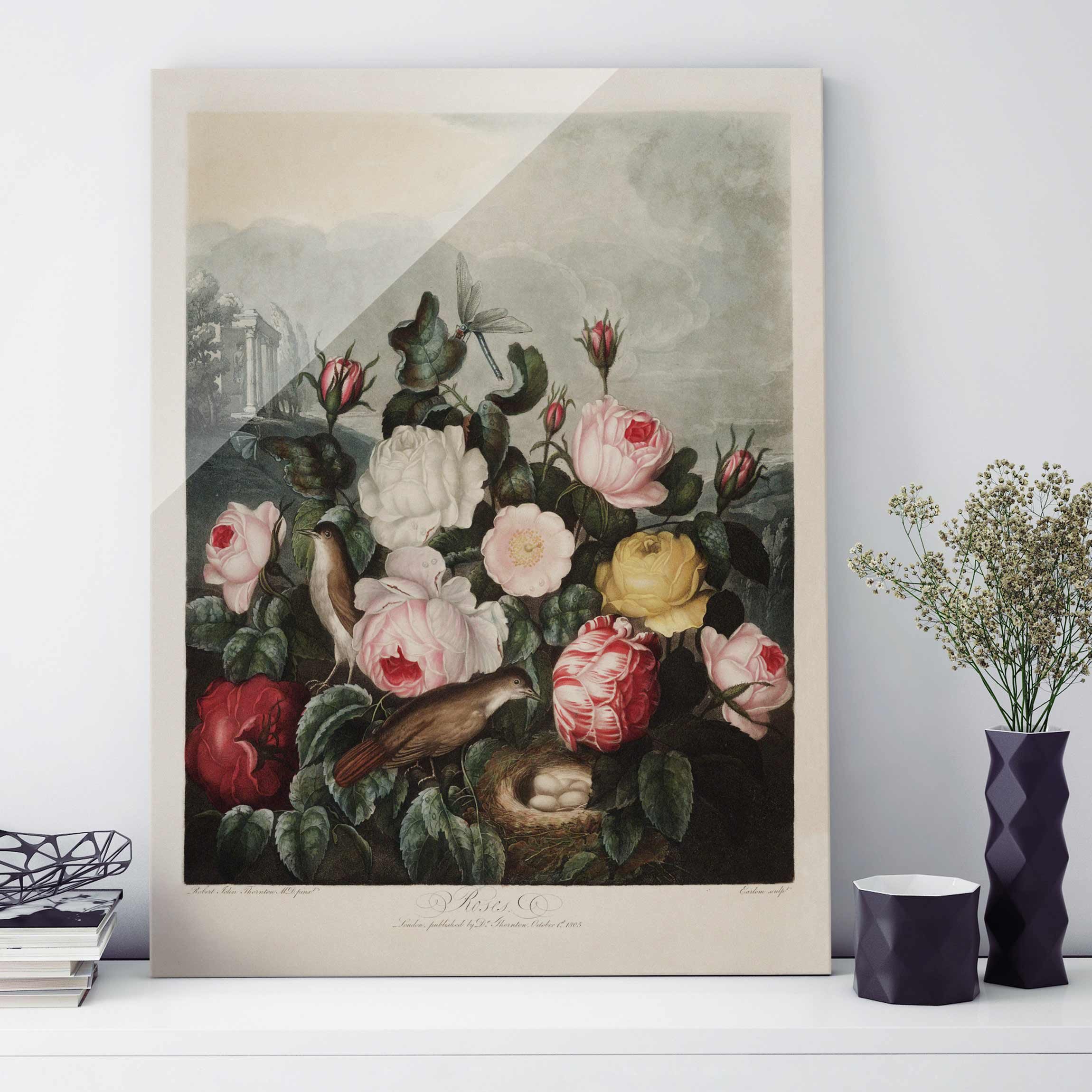 Glasbild - Hochformat Botanik Vintage Illustration Rosen