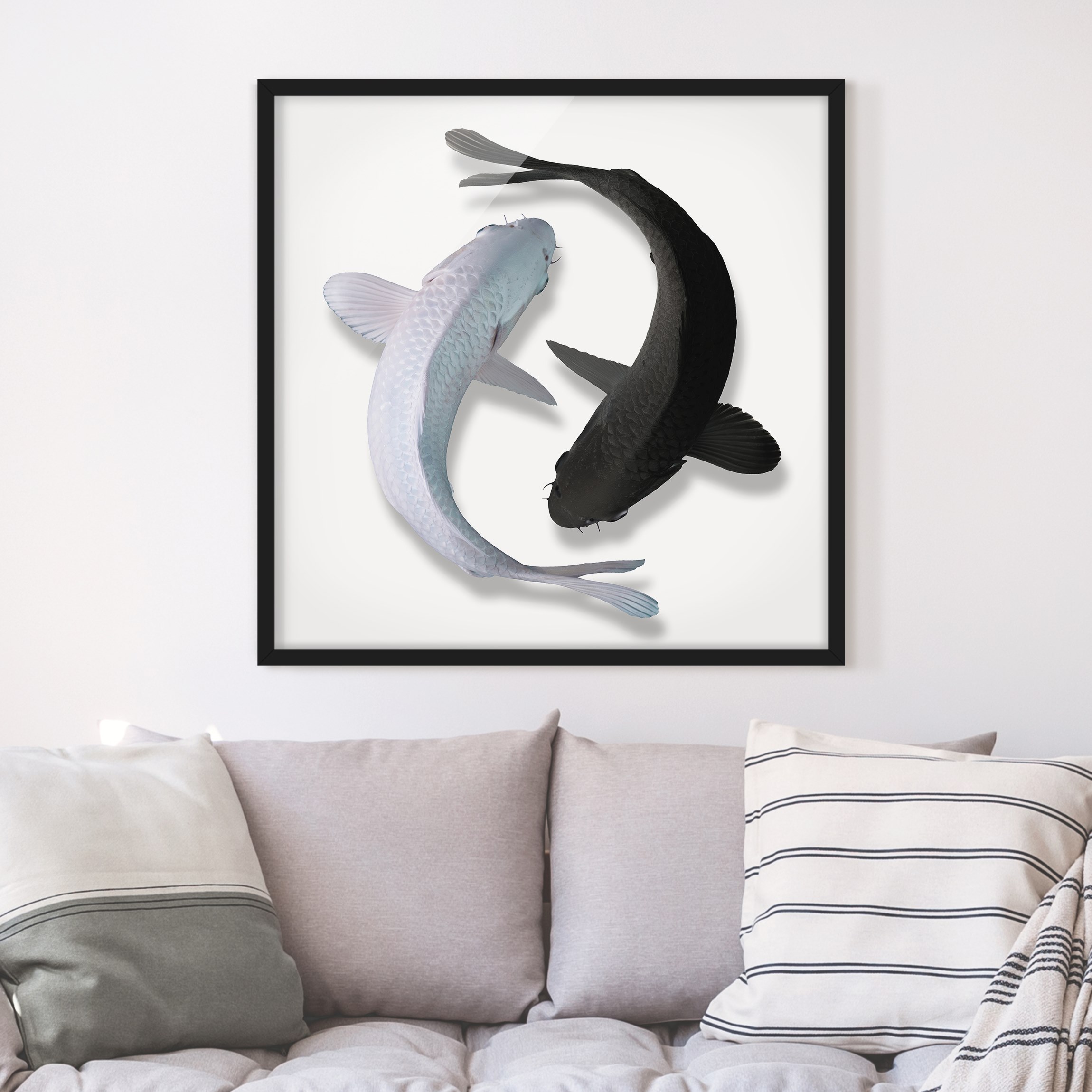 Bild mit Rahmen - Quadrat Fische Ying & Yang