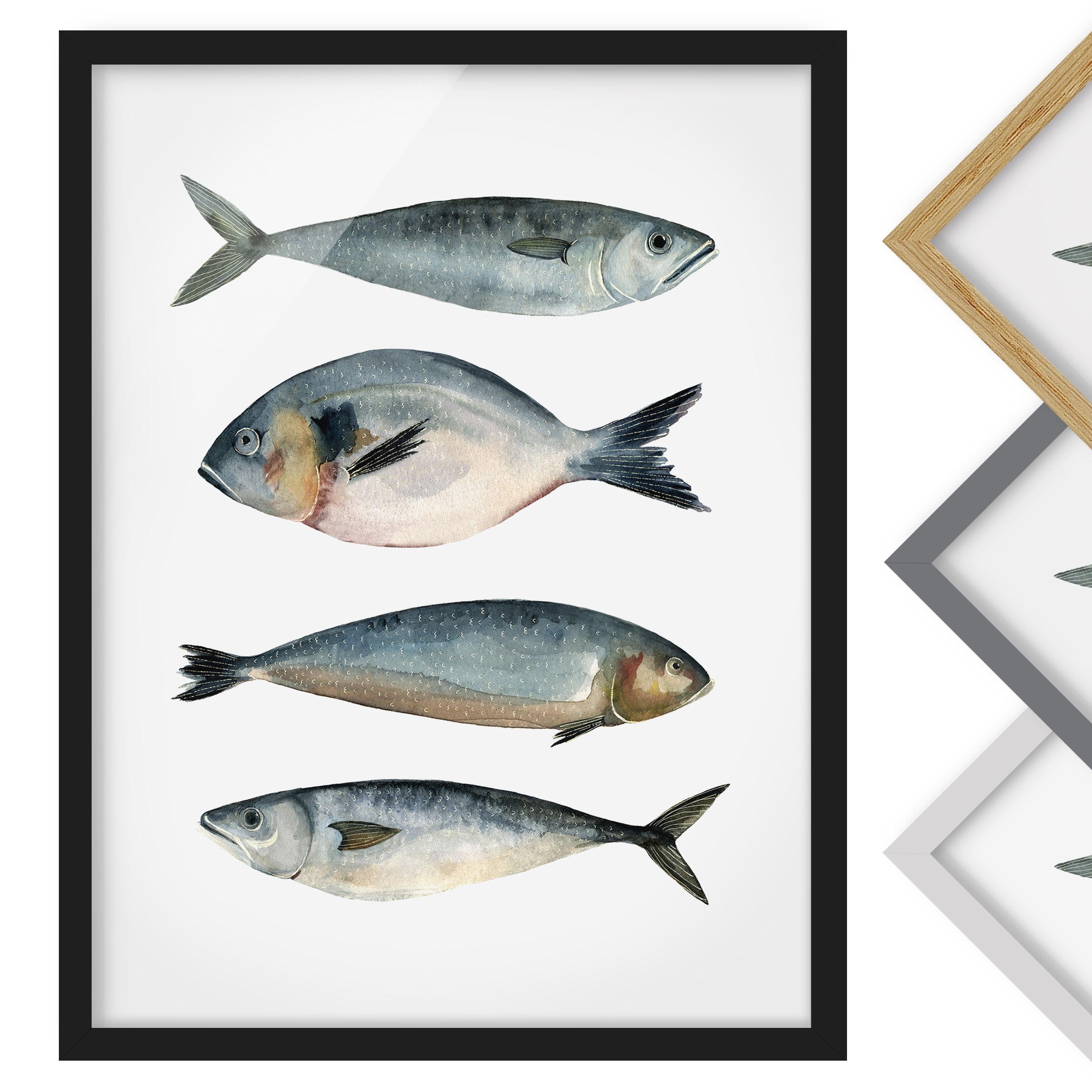 Aquarell Bild mit Rahmen Vier Fische in Aquarell II
