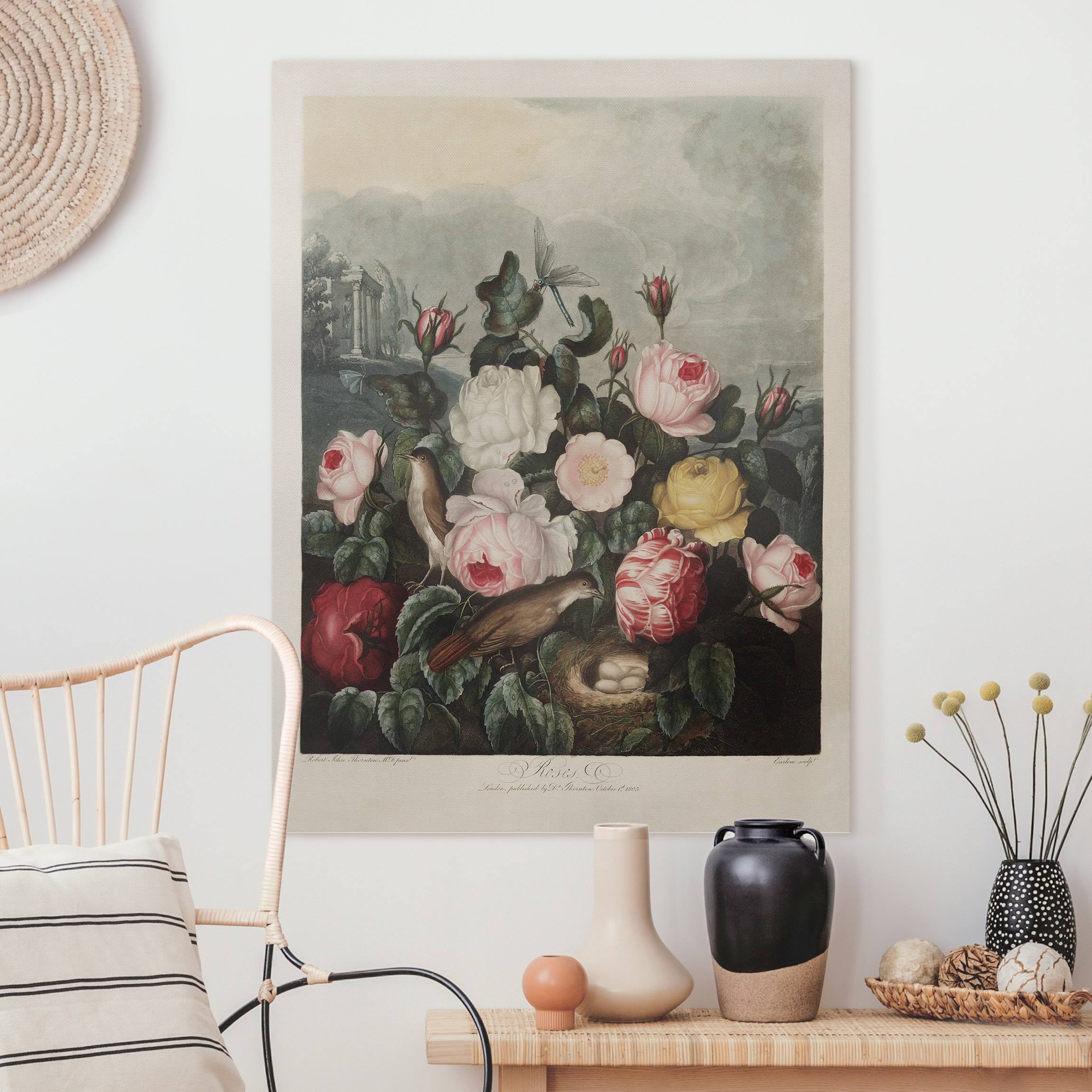 Leinwandbild Botanik Vintage Illustration Rosen