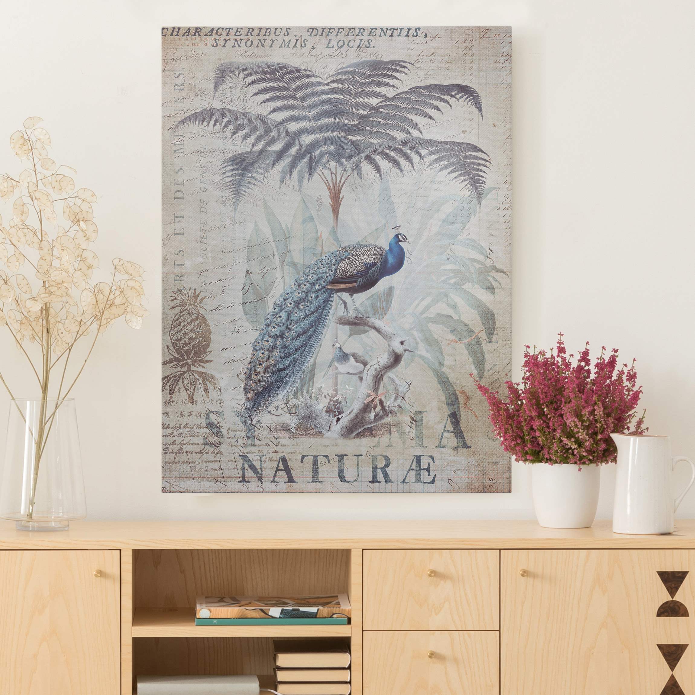 Leinwandbild Shabby Chic Collage - Pfau