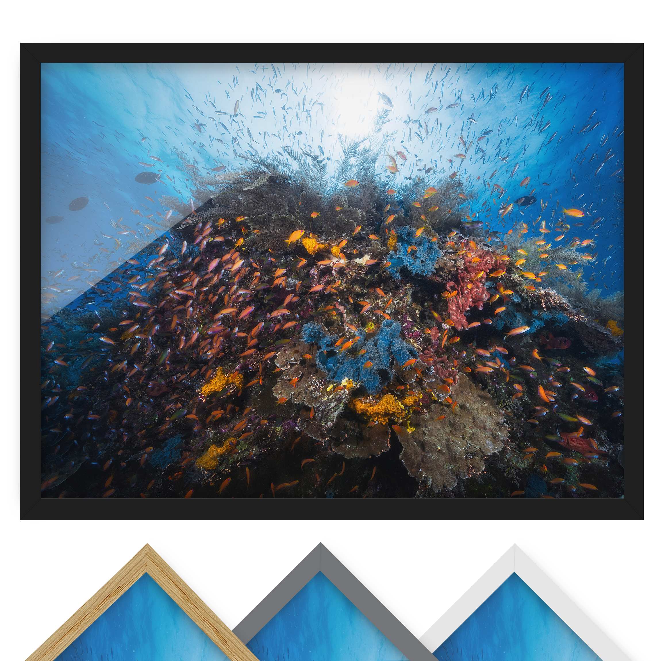Bild mit Rahmen - Querformat Lagune mit Fischen