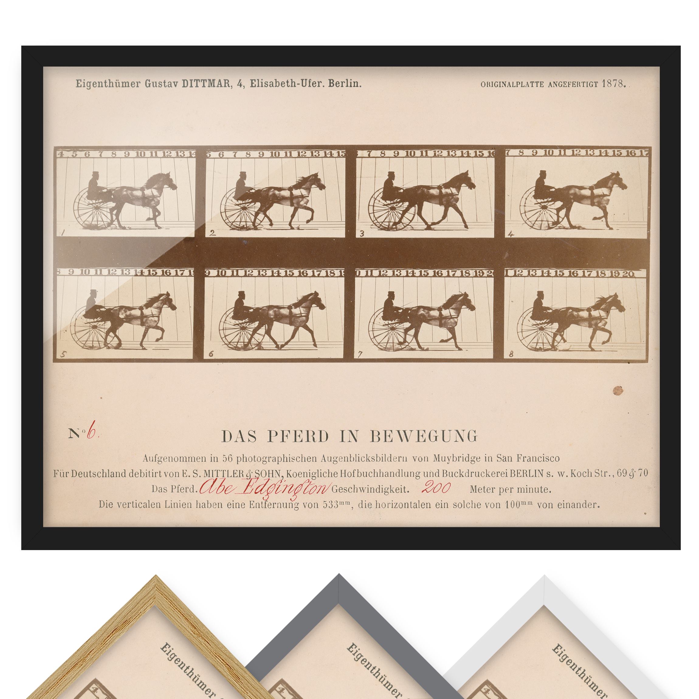 Kunstdruck mit Rahmen Eadweard Muybridge - Das Pferd in Bewegung