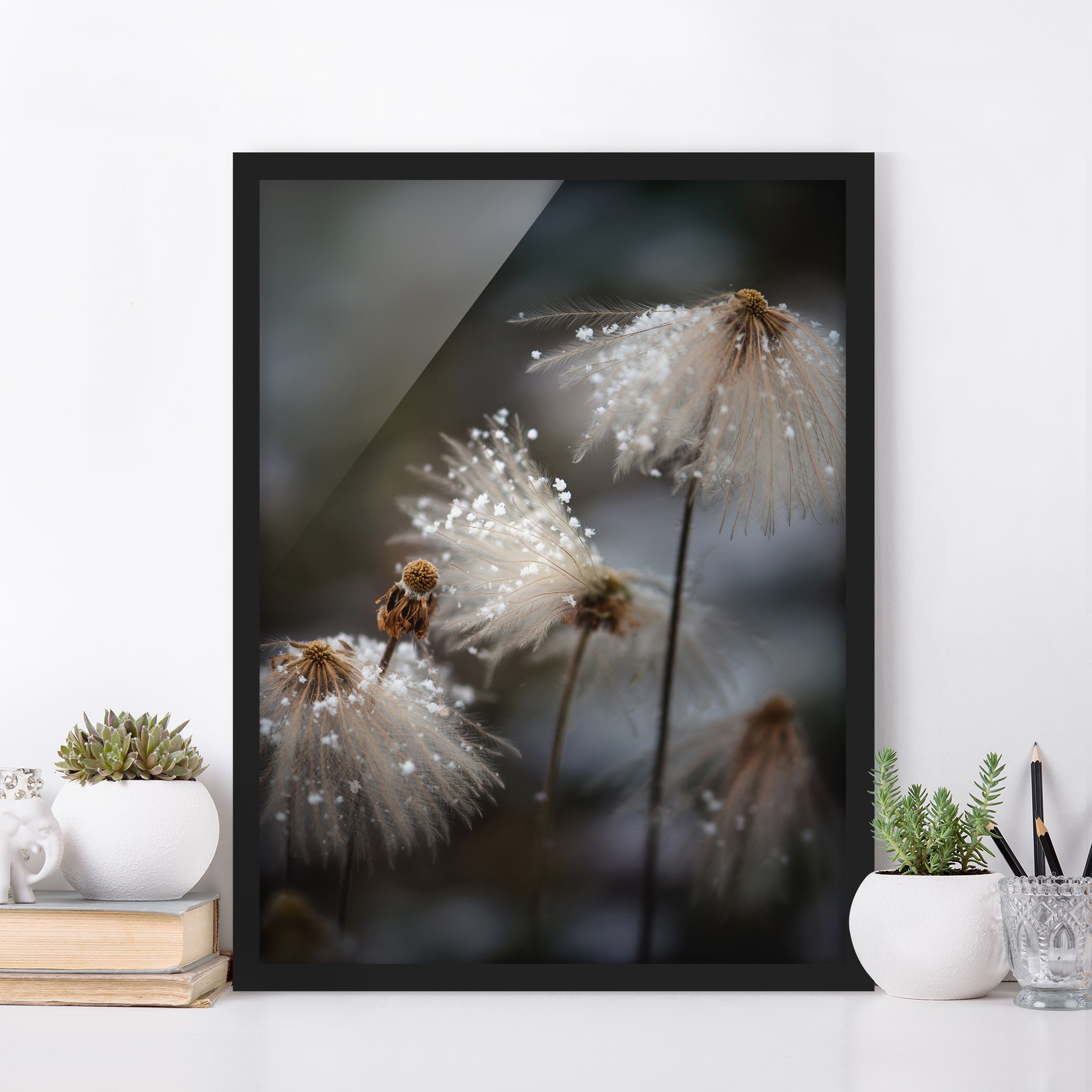 Bild mit Rahmen - Hochformat Pusteblumen mit Schneeflocken