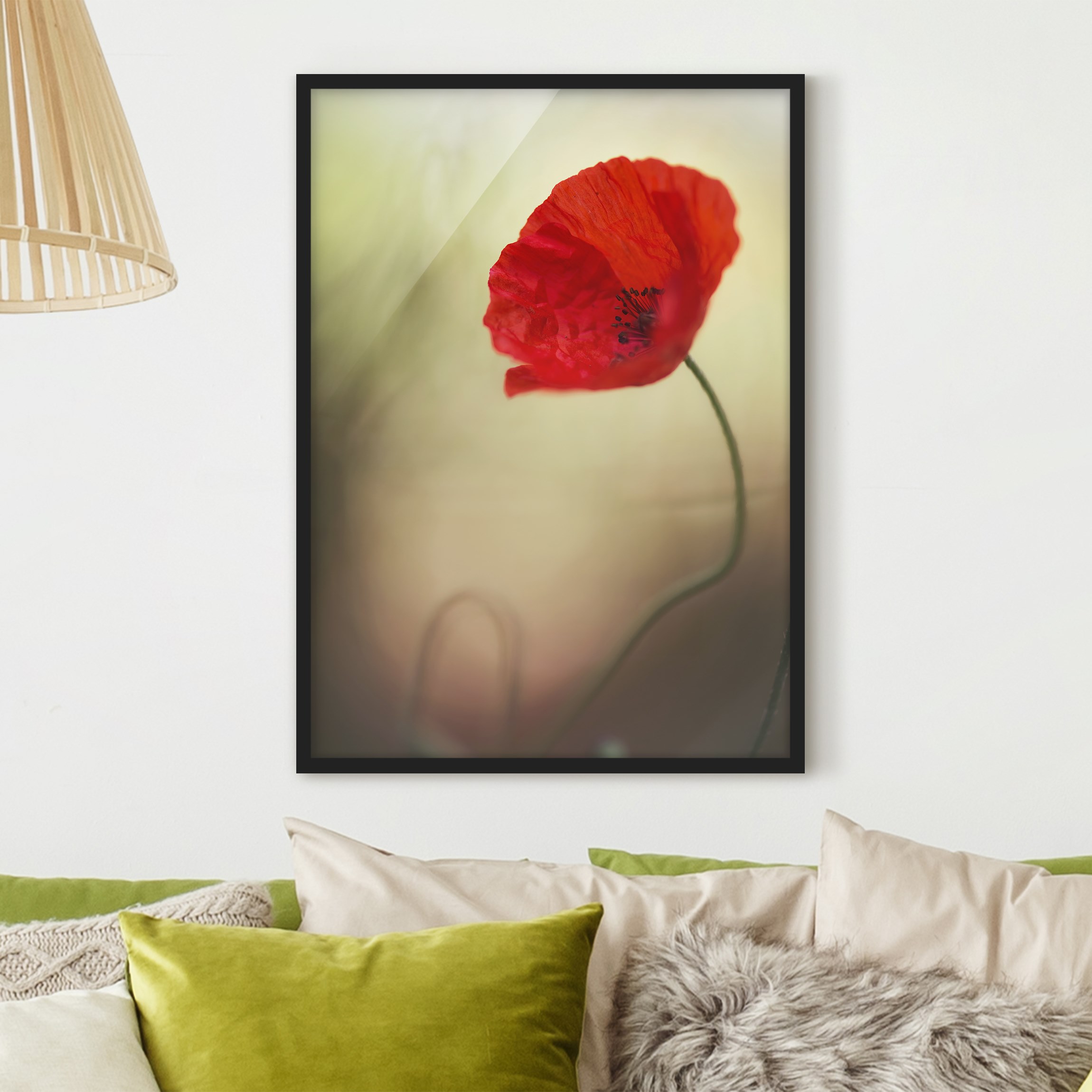 Bild mit Rahmen - Hochformat Mohnblüte im Garten