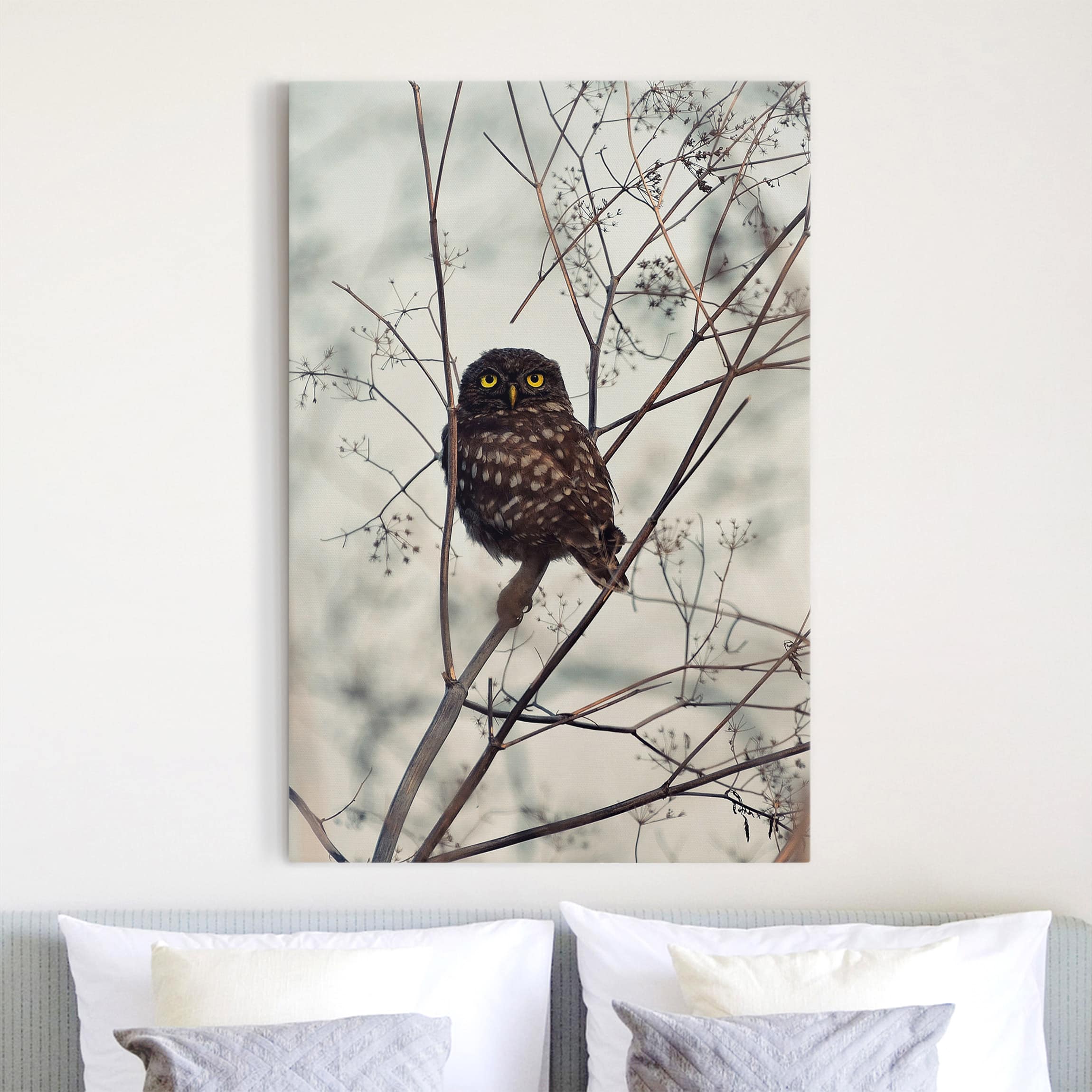Leinwandbild Tiere Eule im Winter