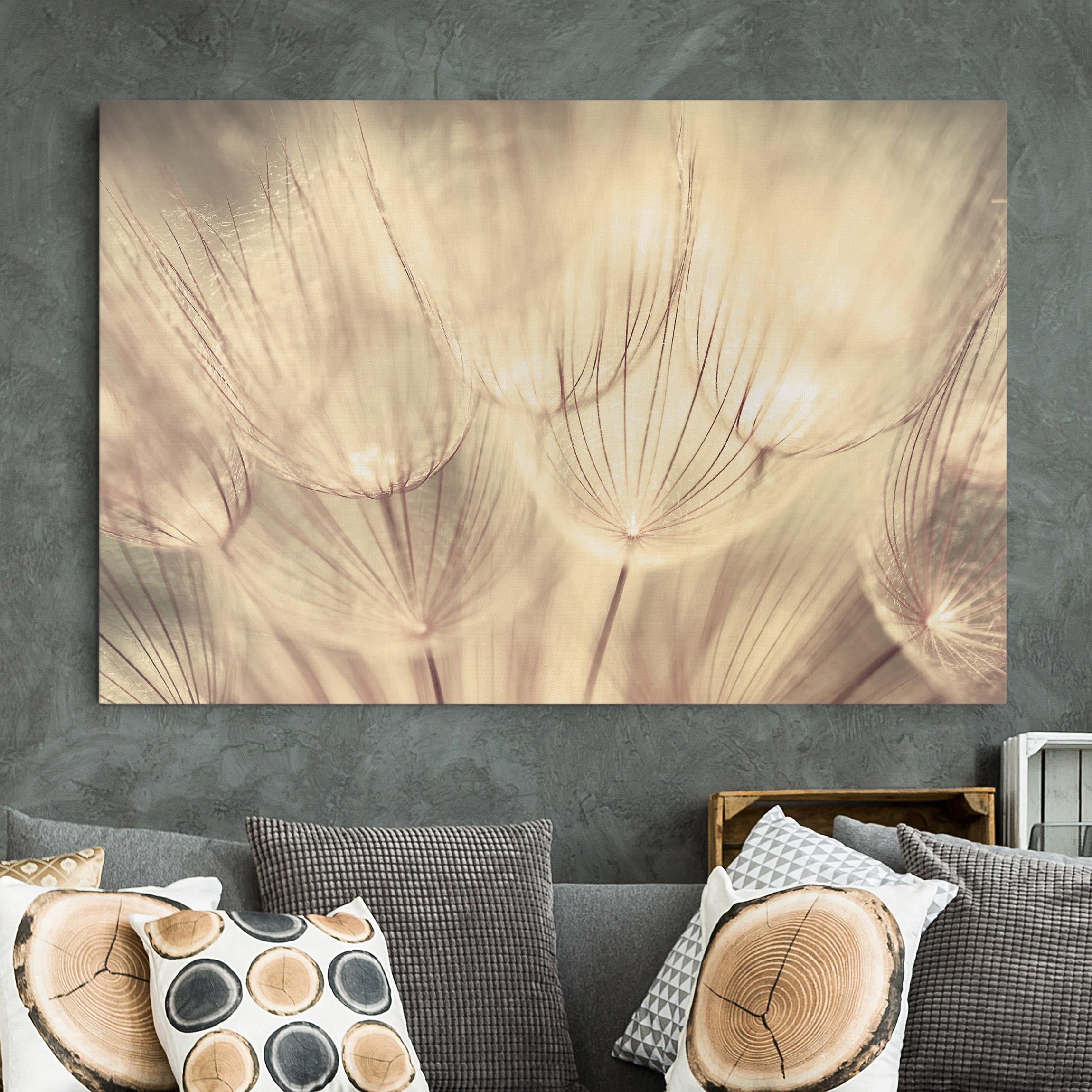 Leinwandbild Blumen Pusteblumen Nahaufnahme in wohnlicher Sepia Tönung