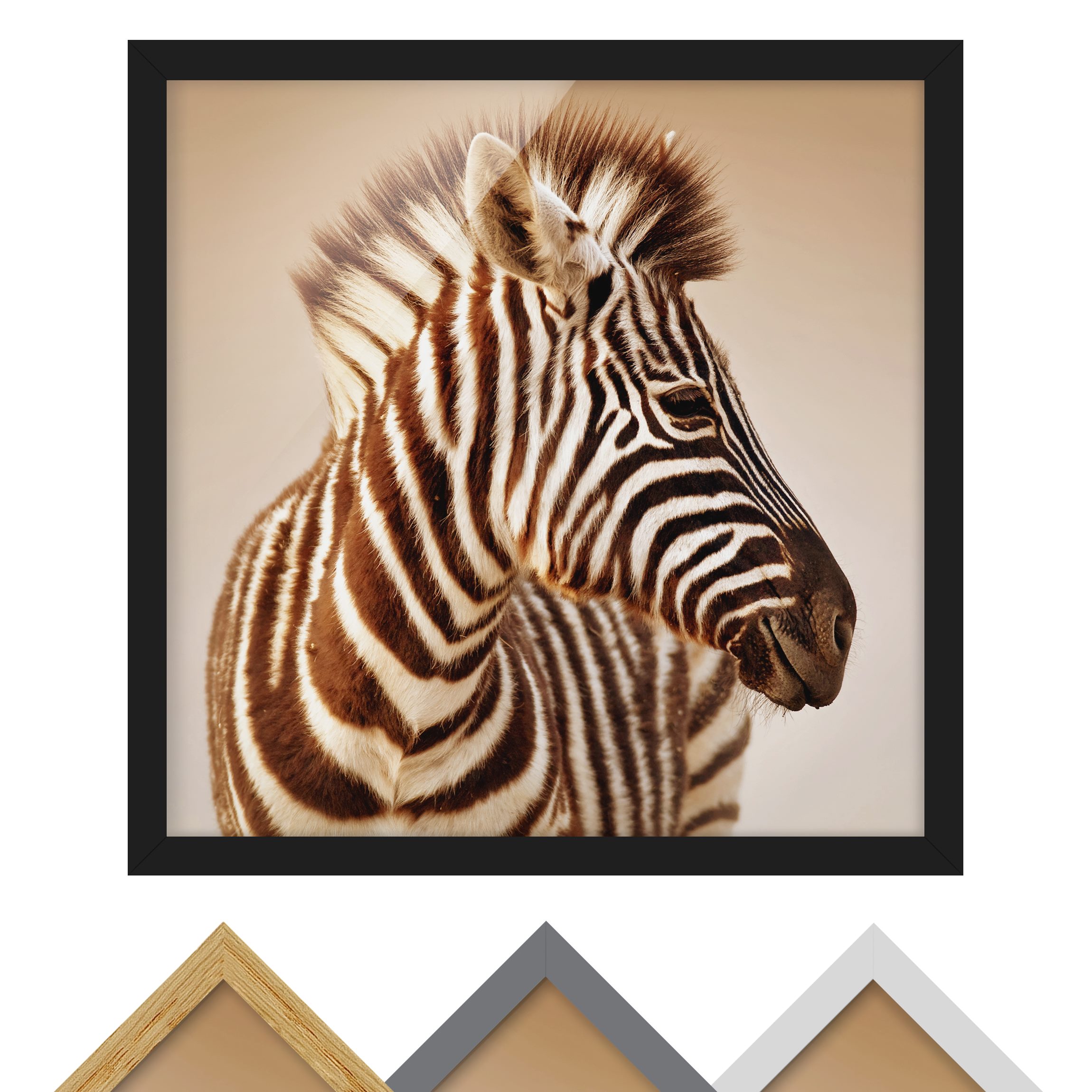 Bild mit Rahmen - Quadrat Zebra Baby Portrait