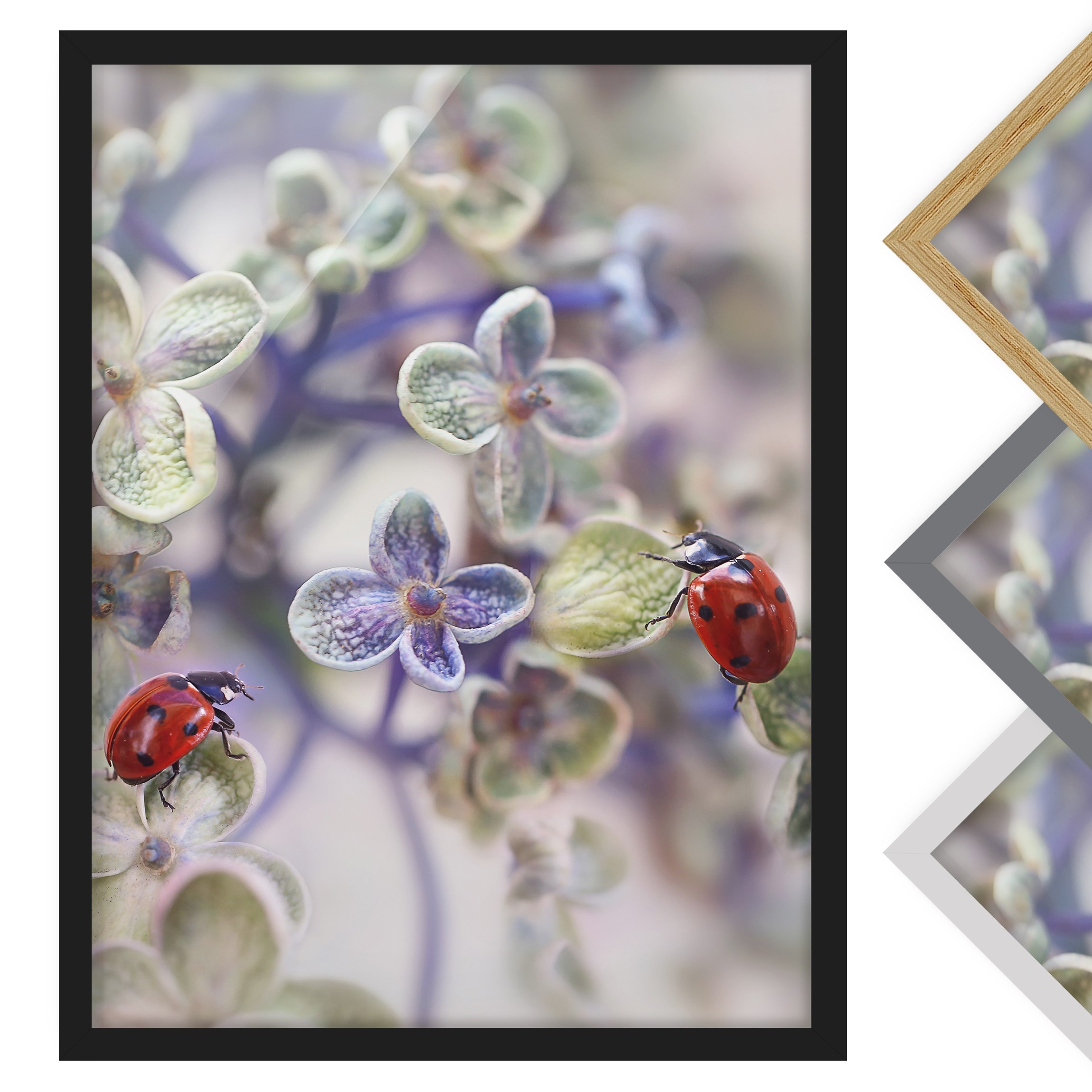 Bild mit Rahmen - Hochformat Marienkäfer im Garten