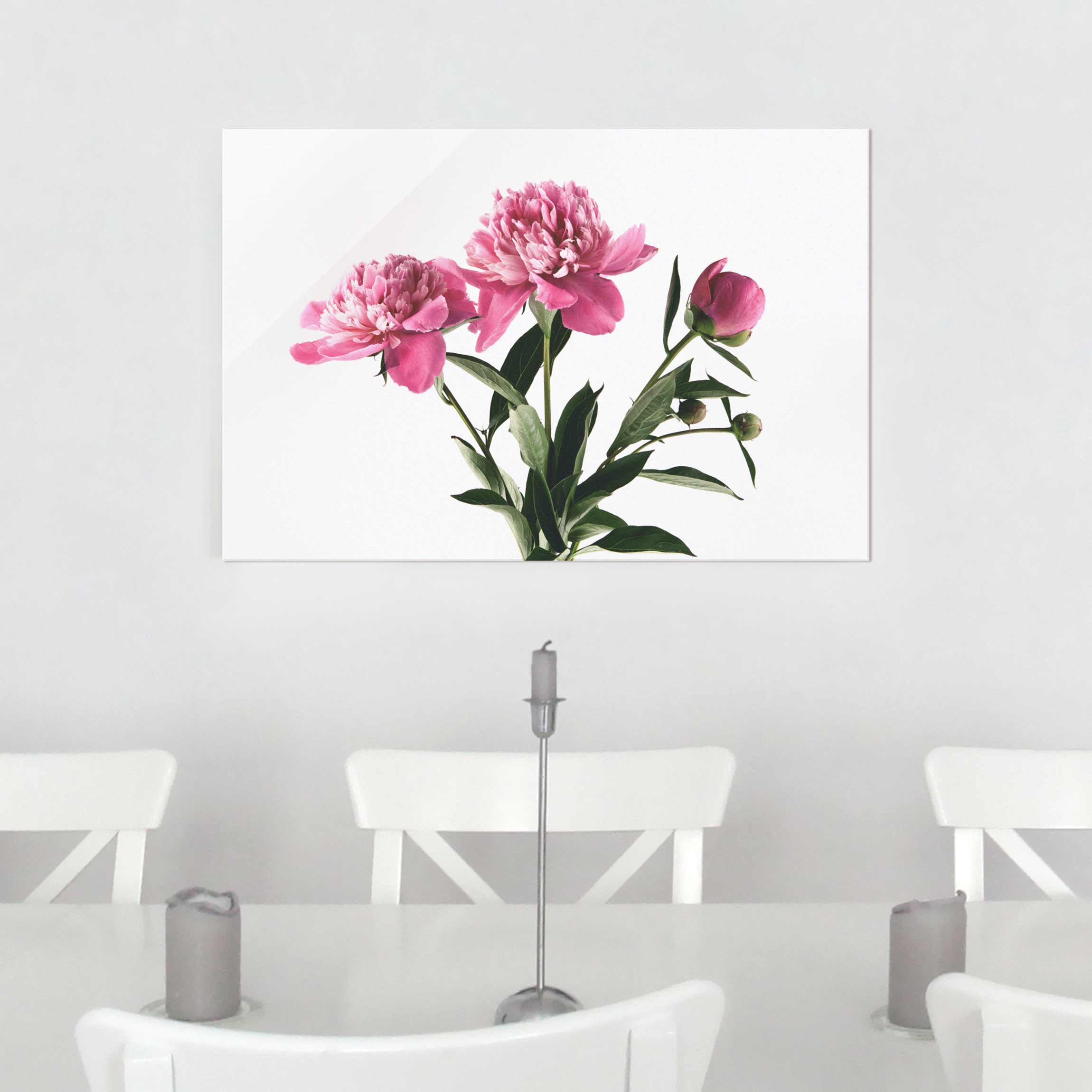 Glasbild - Querformat Blüten und Knospen Pink auf Weiß