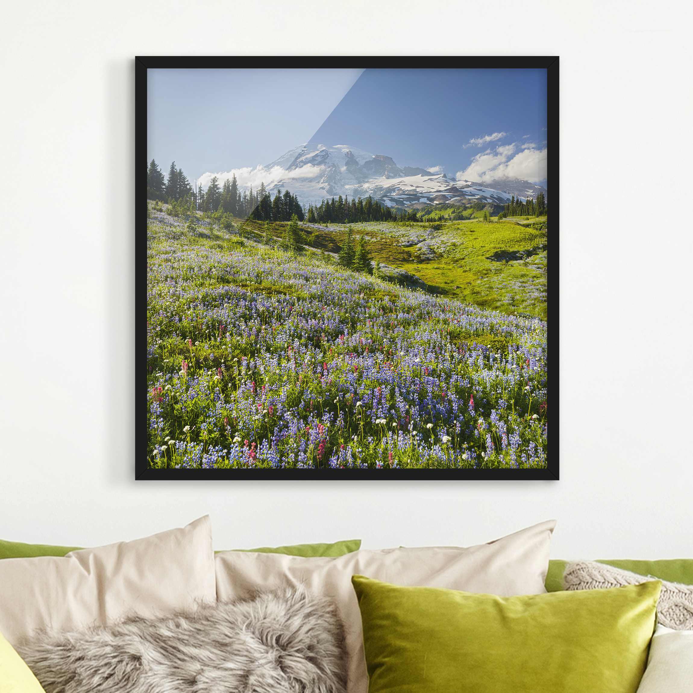 Bild mit Rahmen - Quadrat Bergwiese mit roten Blumen vor Mt. Rainier