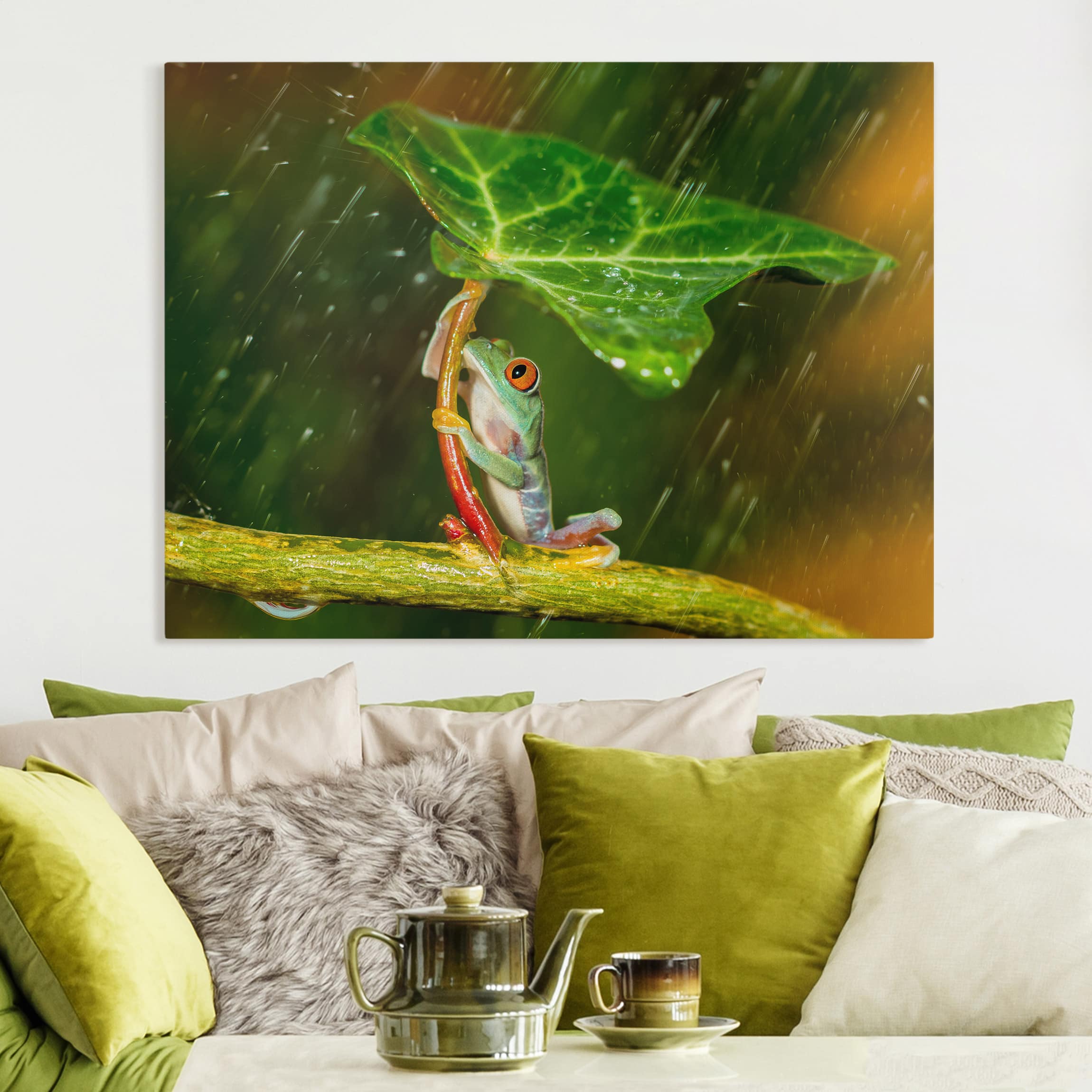 Leinwandbild Tiere Ein Frosch im Regen