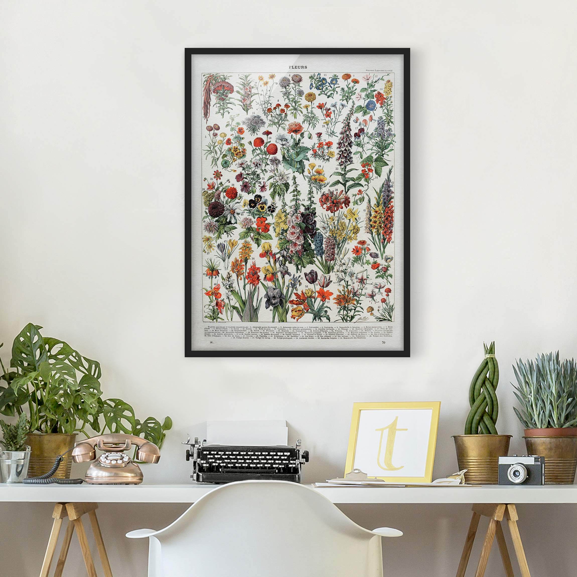 Bild mit Rahmen - Hochformat Vintage Lehrtafel Blumen IV