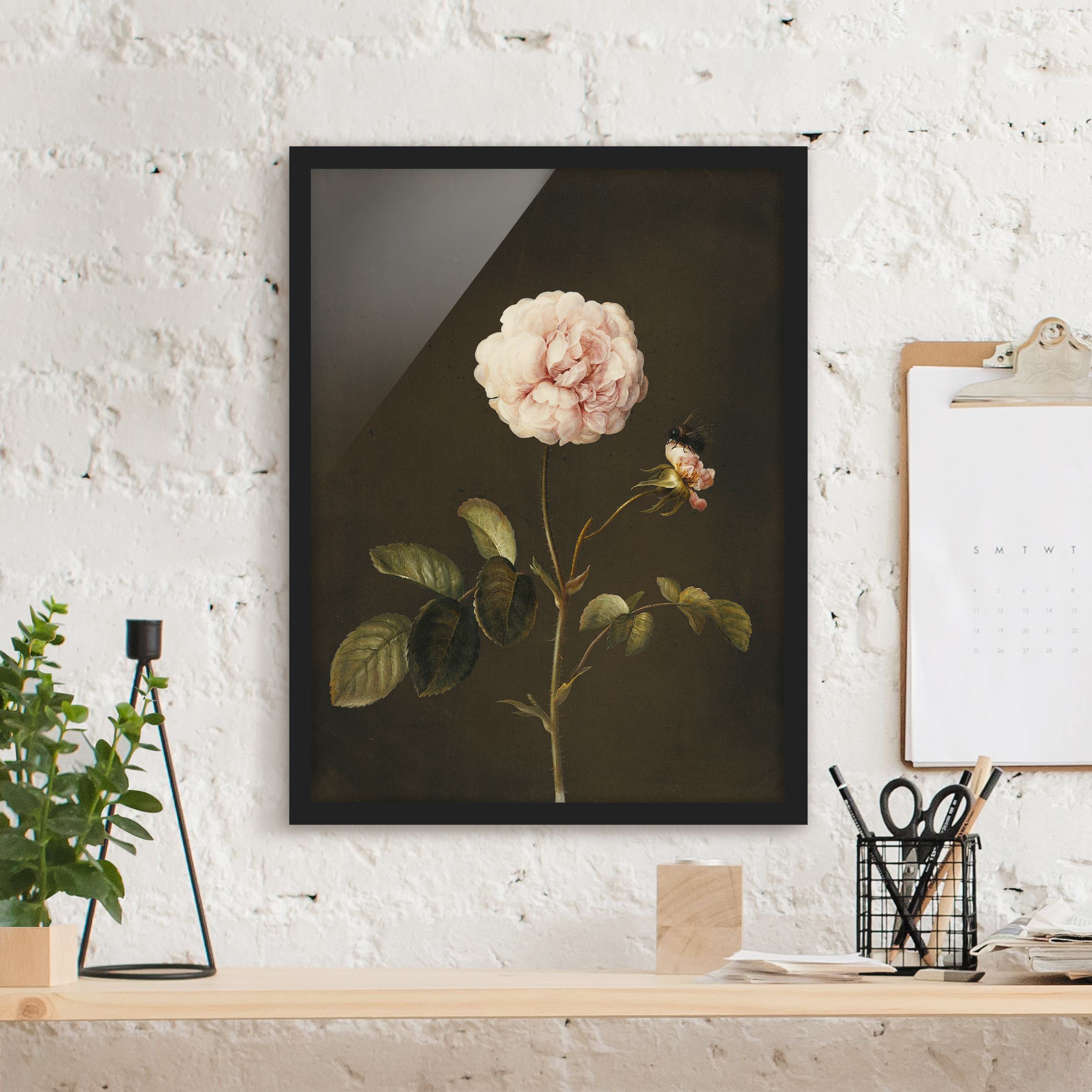 Bild mit Rahmen - Hochformat Barbara Regina Dietzsch - Essig-Rose mit Hummel
