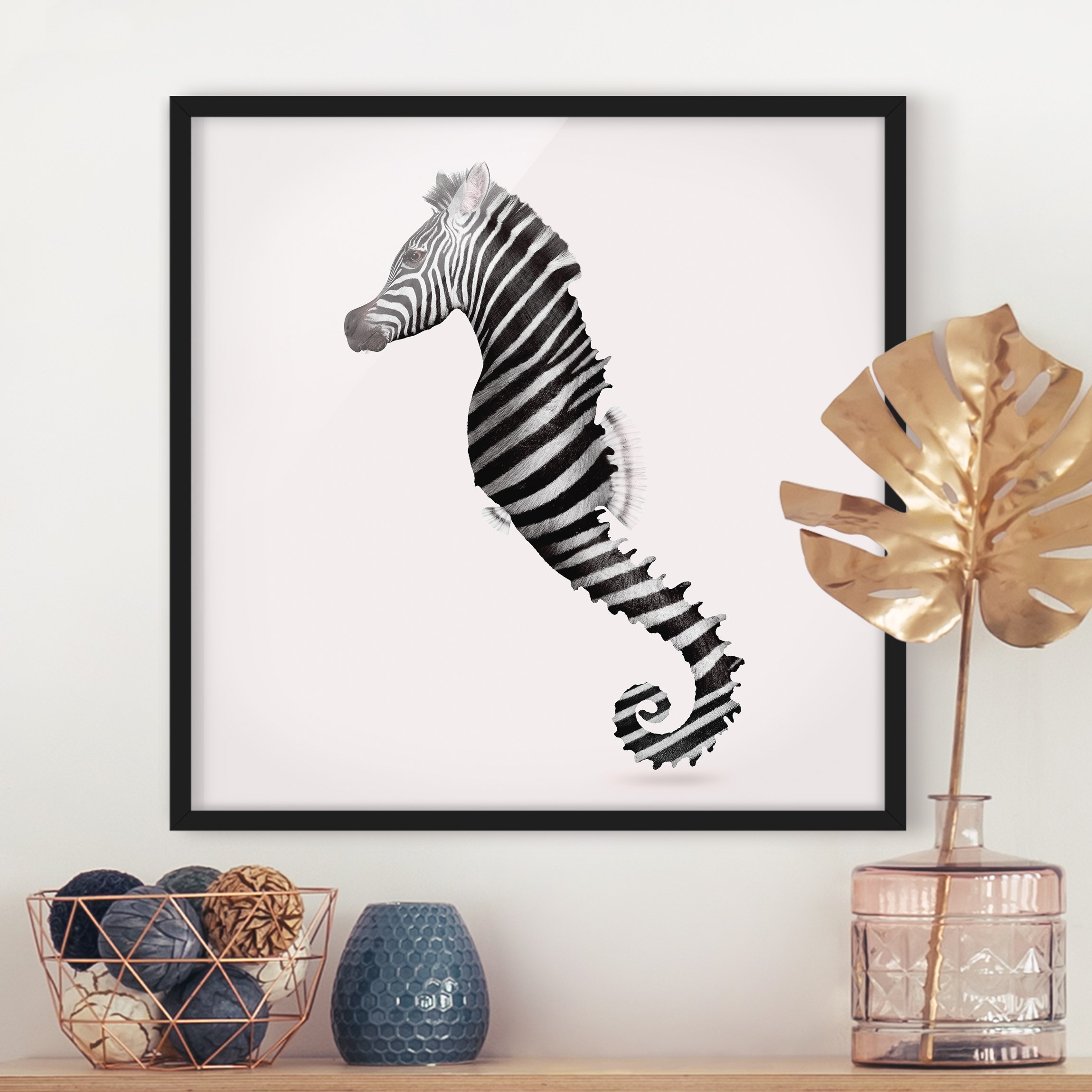 Bild mit Rahmen - Quadrat Seepferdchen mit Zebrastreifen