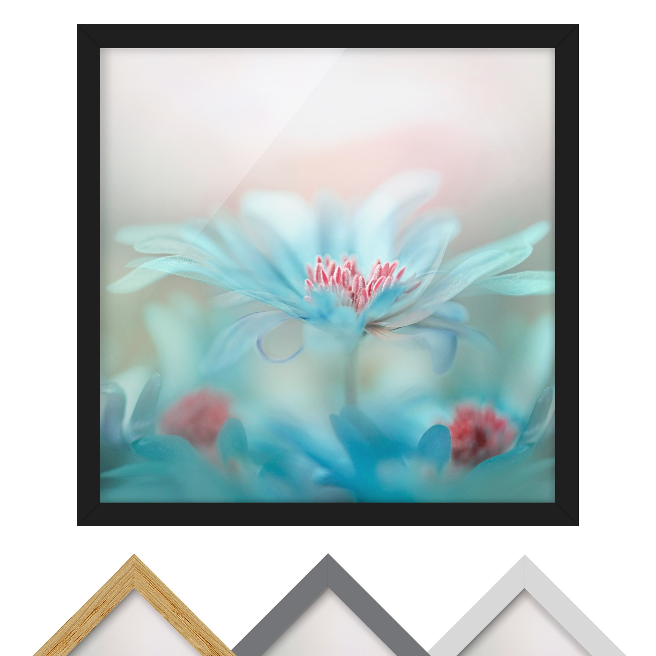 Bild mit Rahmen - Quadrat Zarte Blüten in Pastell